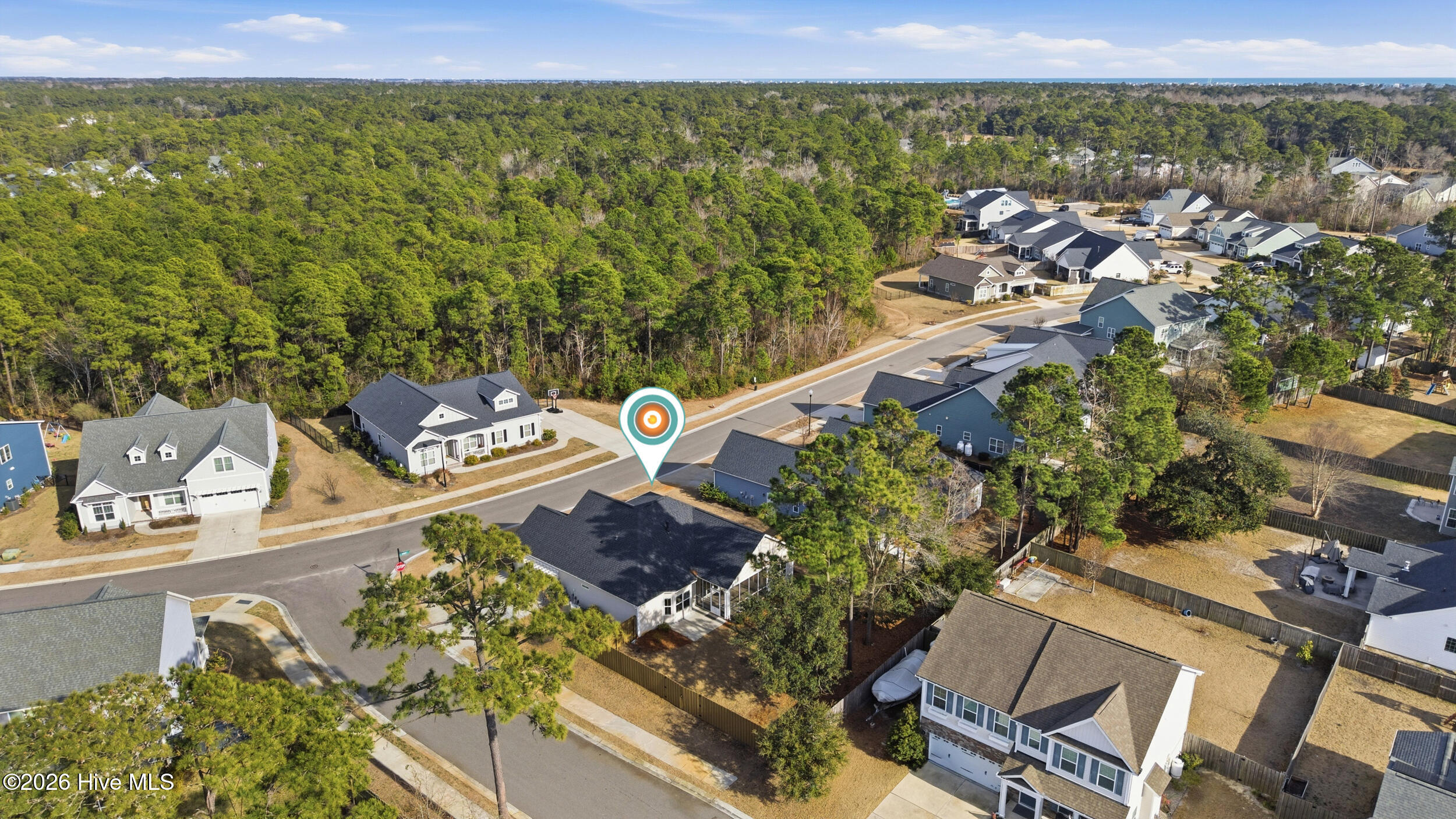 100557443 | Photo 48