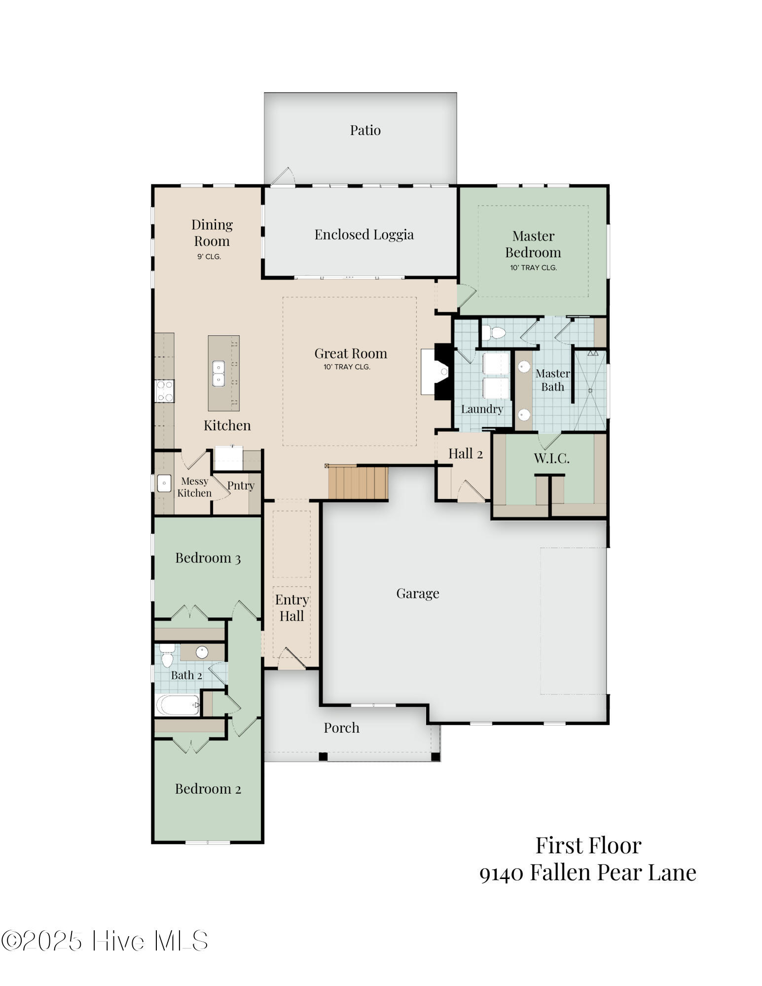 100545835 | Photo 10