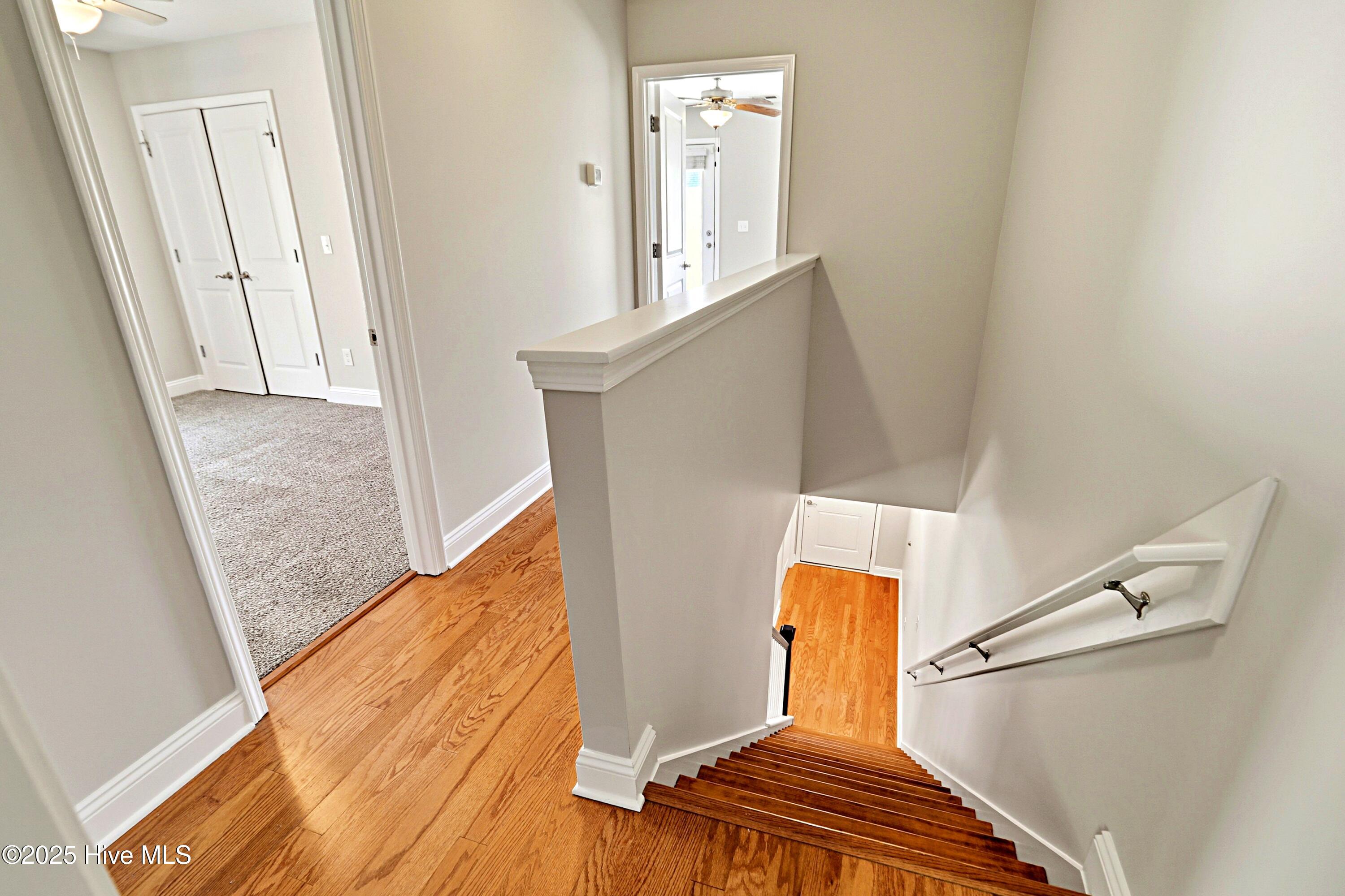 100539974 | Photo 37