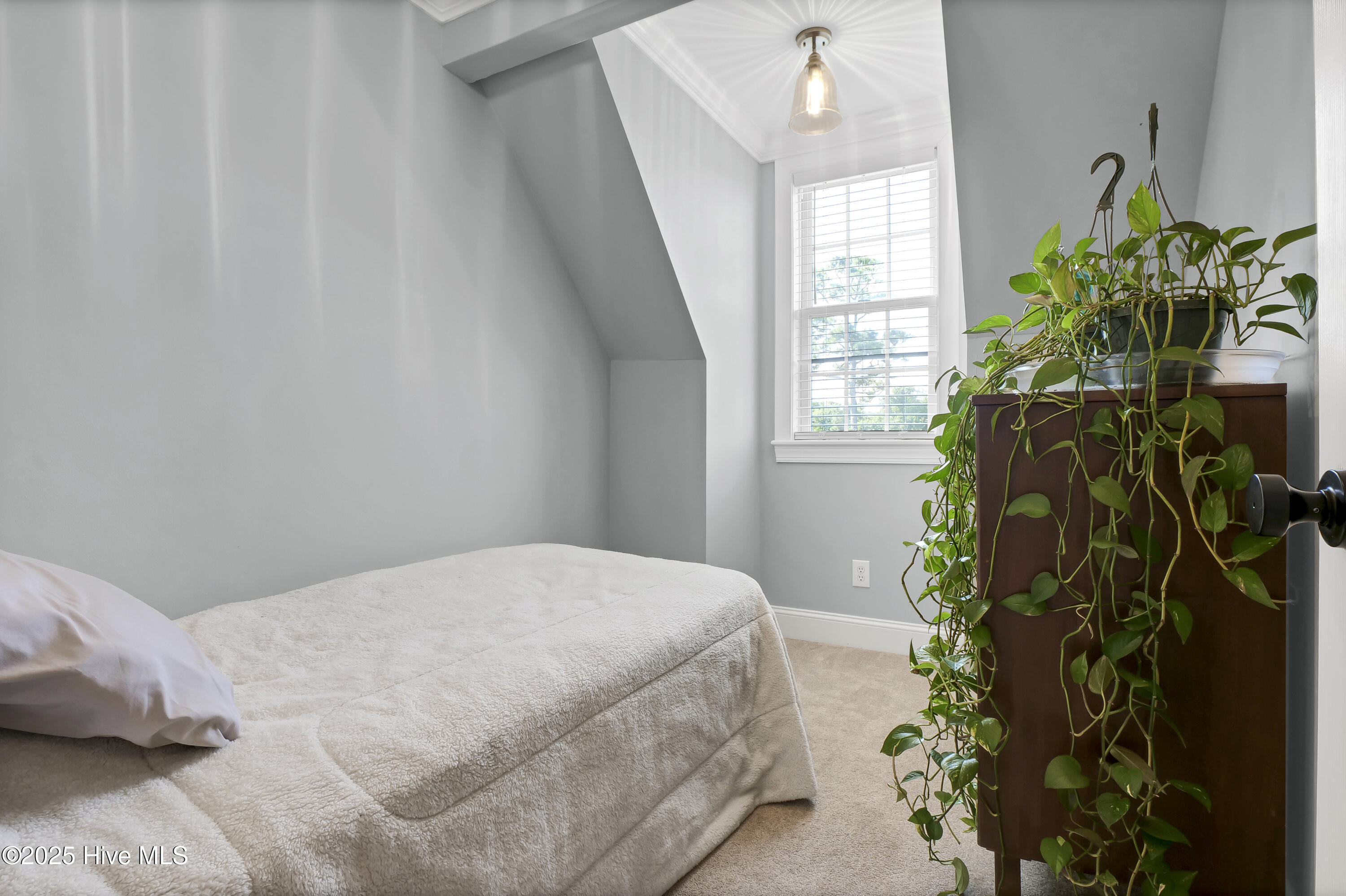 100489094 | Photo 71