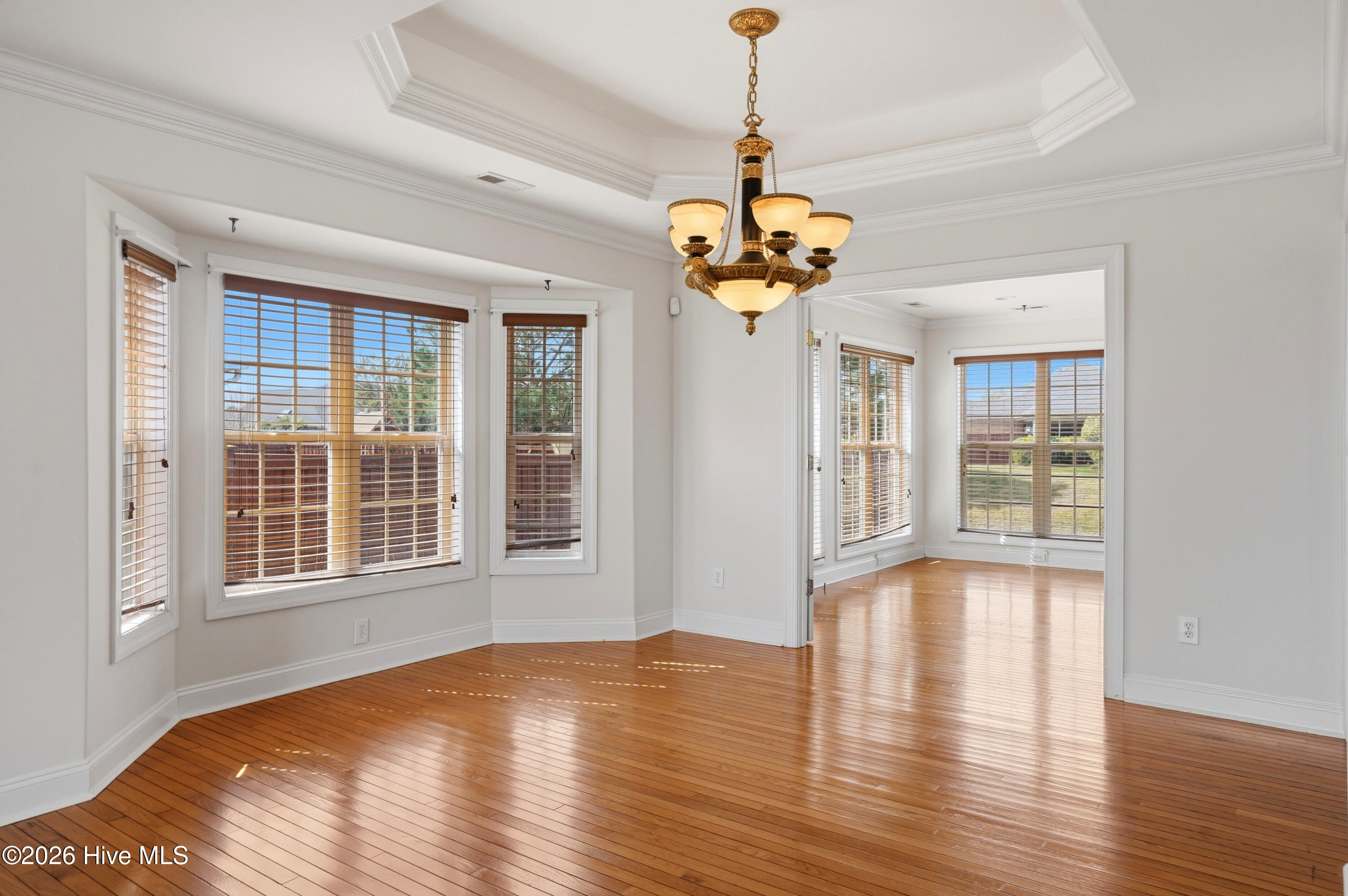 100562677 | Photo 10