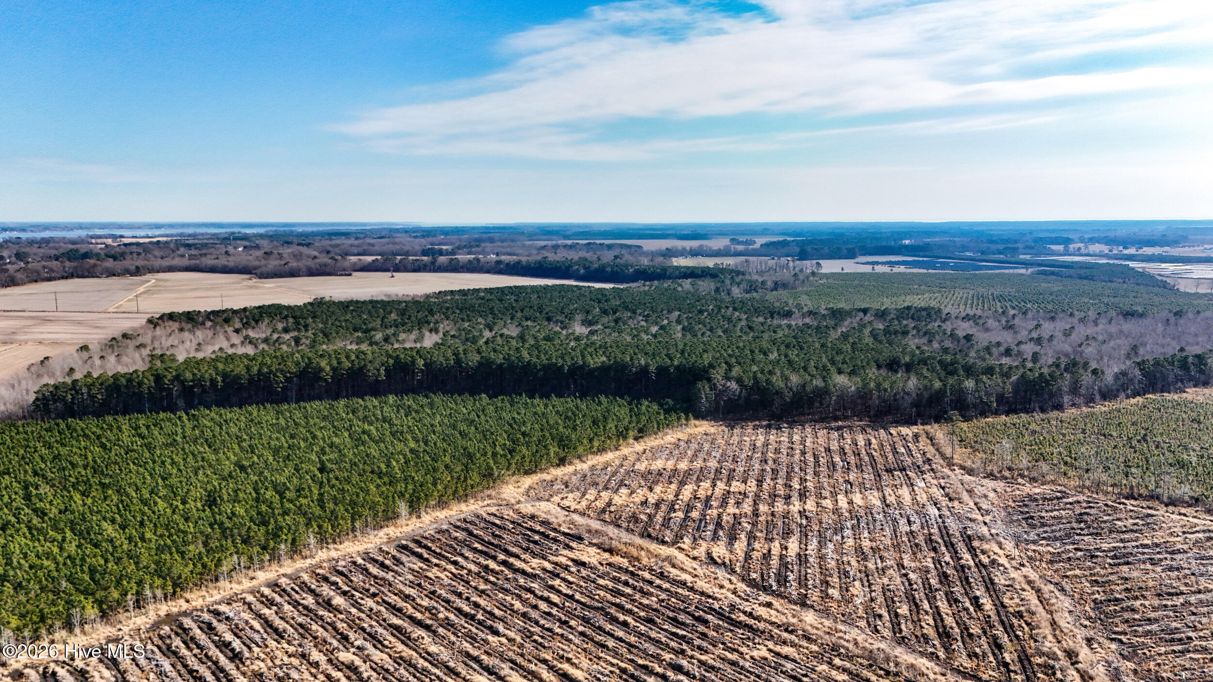 dji_20260104133658_0007_d