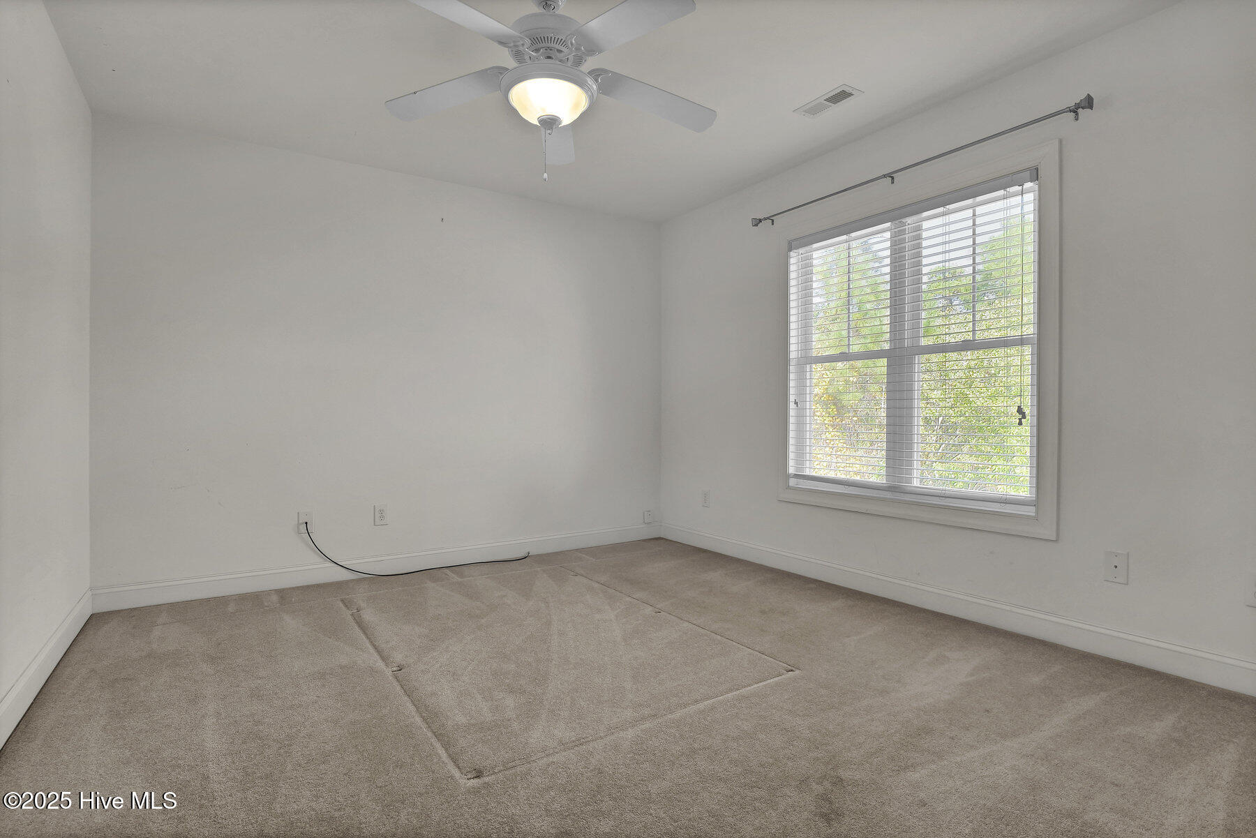 100540144 | Photo 30