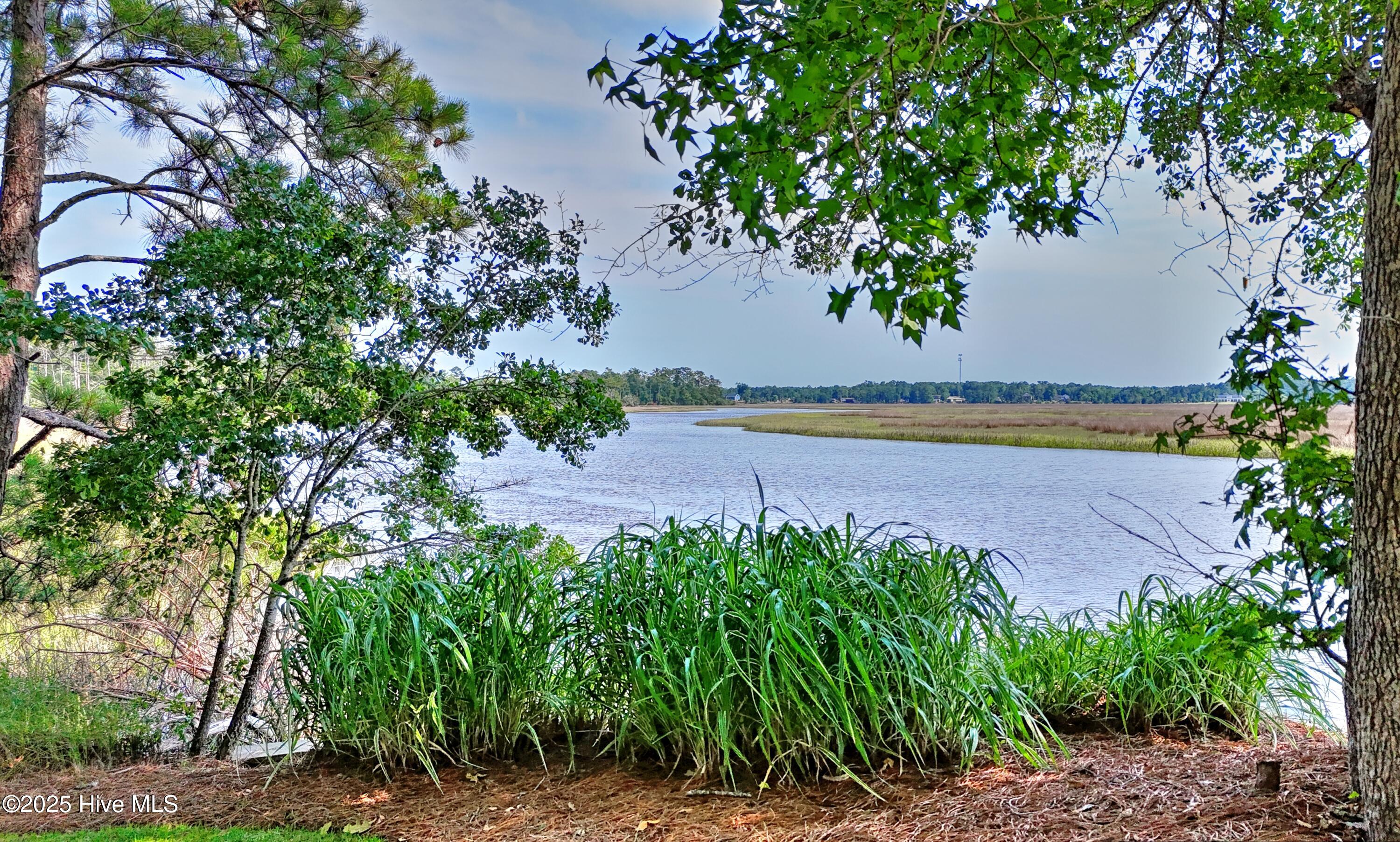 466 Herring Gull Court SE, Bolivia, NC, 28422