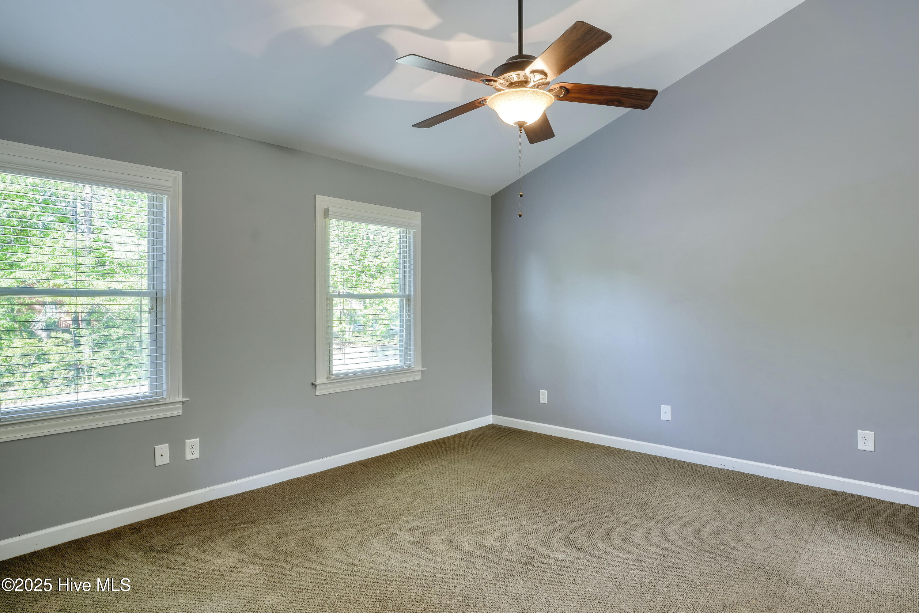 100554842 | Photo 18