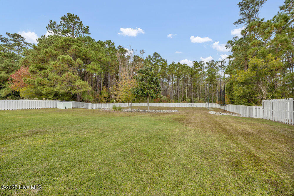 100542782 | Photo 50