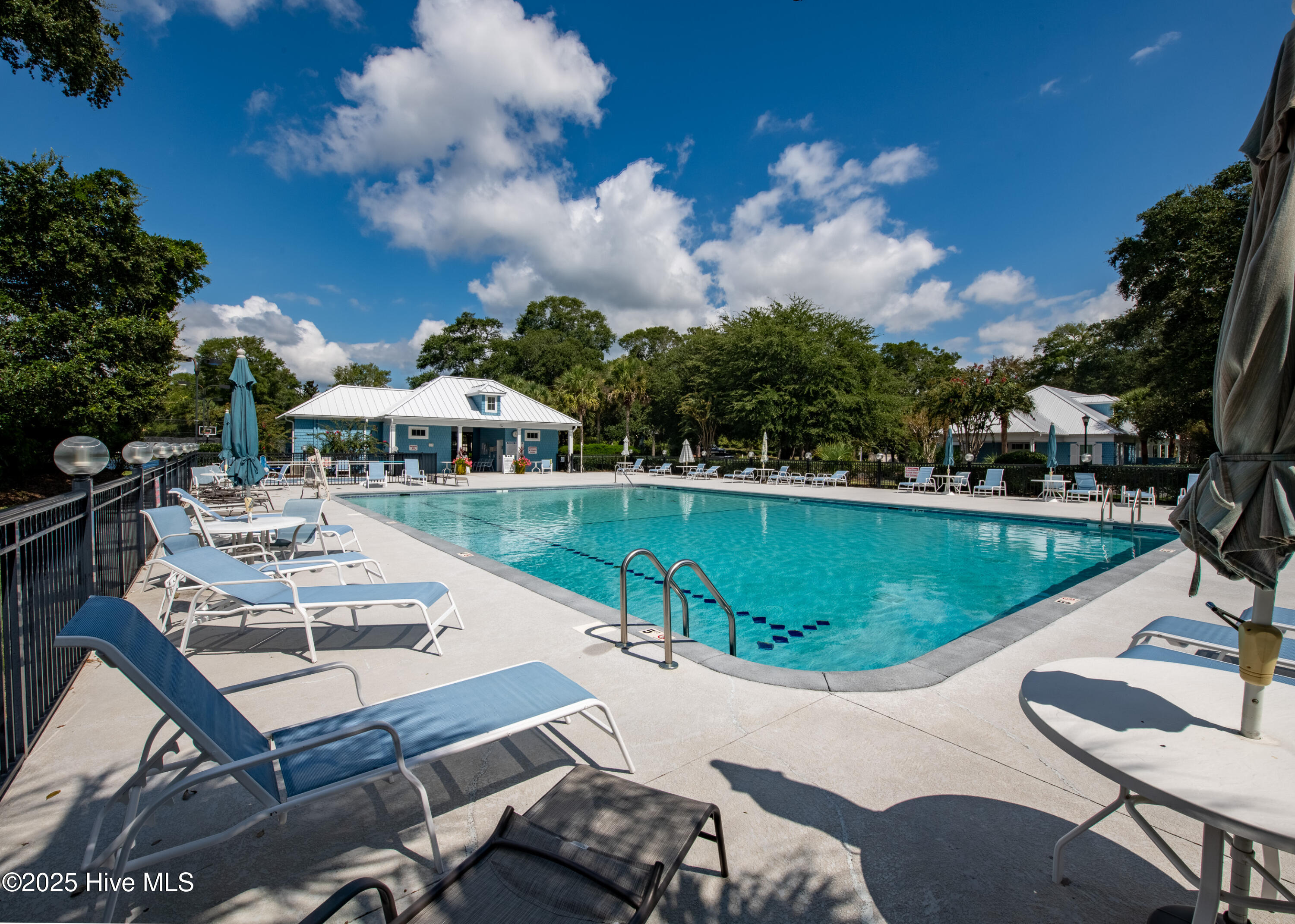 100535512 | Photo 66