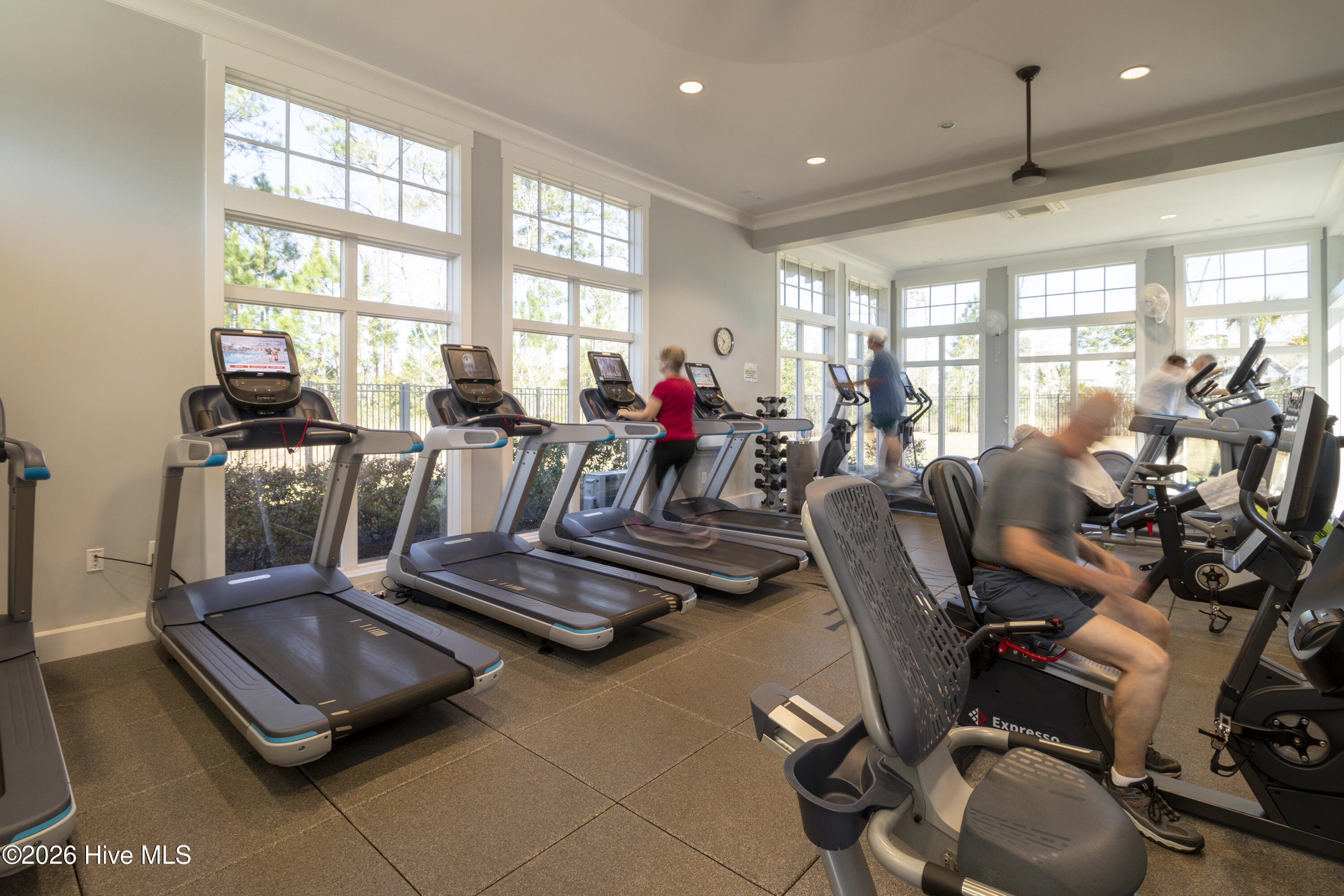 100569553 | Photo 45