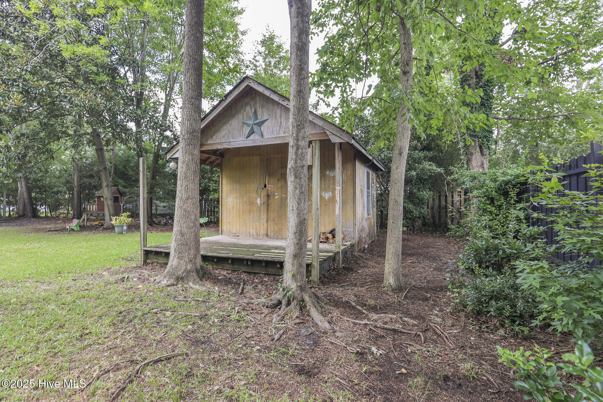 100524871 | Photo 46