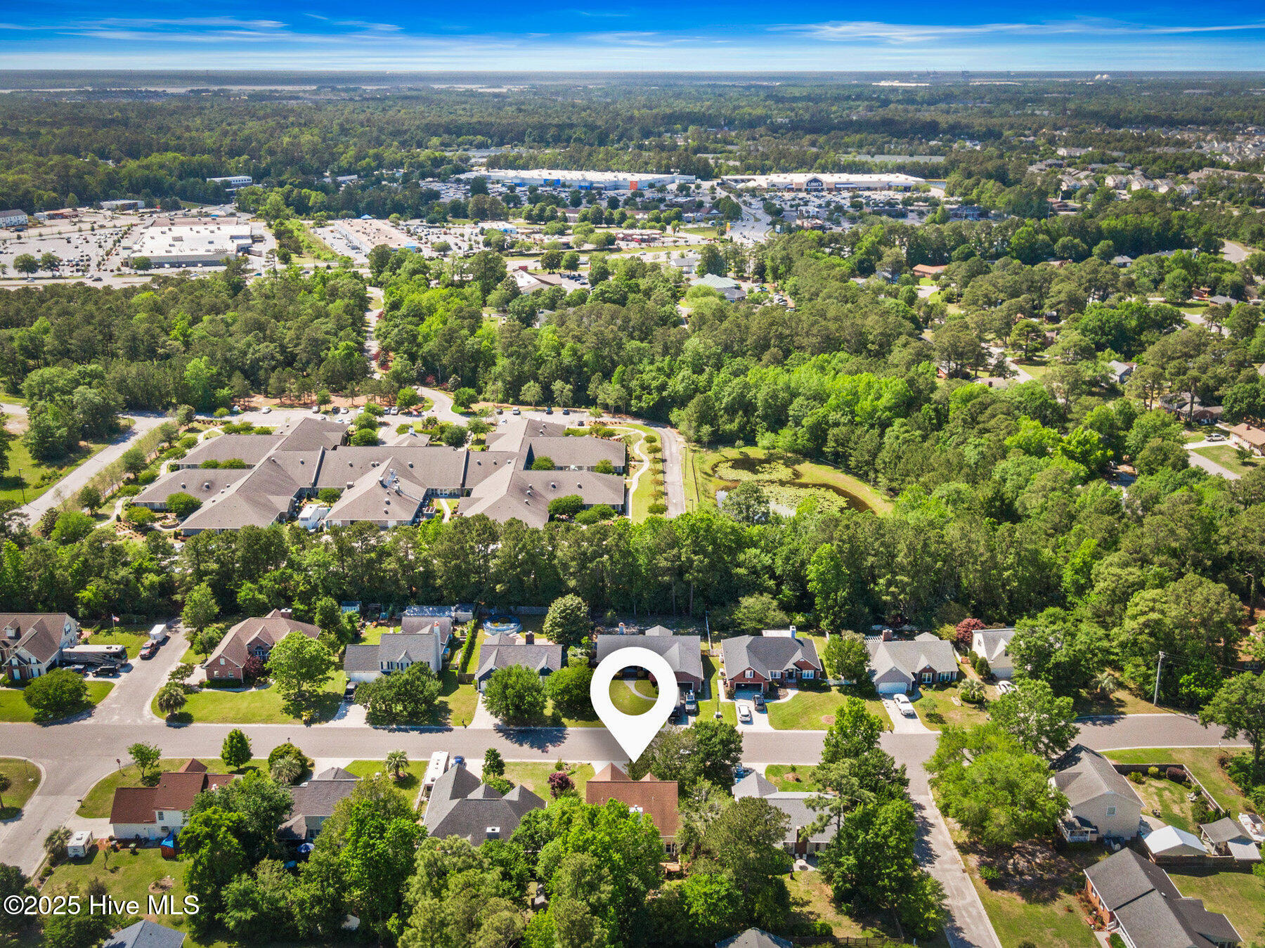 100505996 | Photo 44