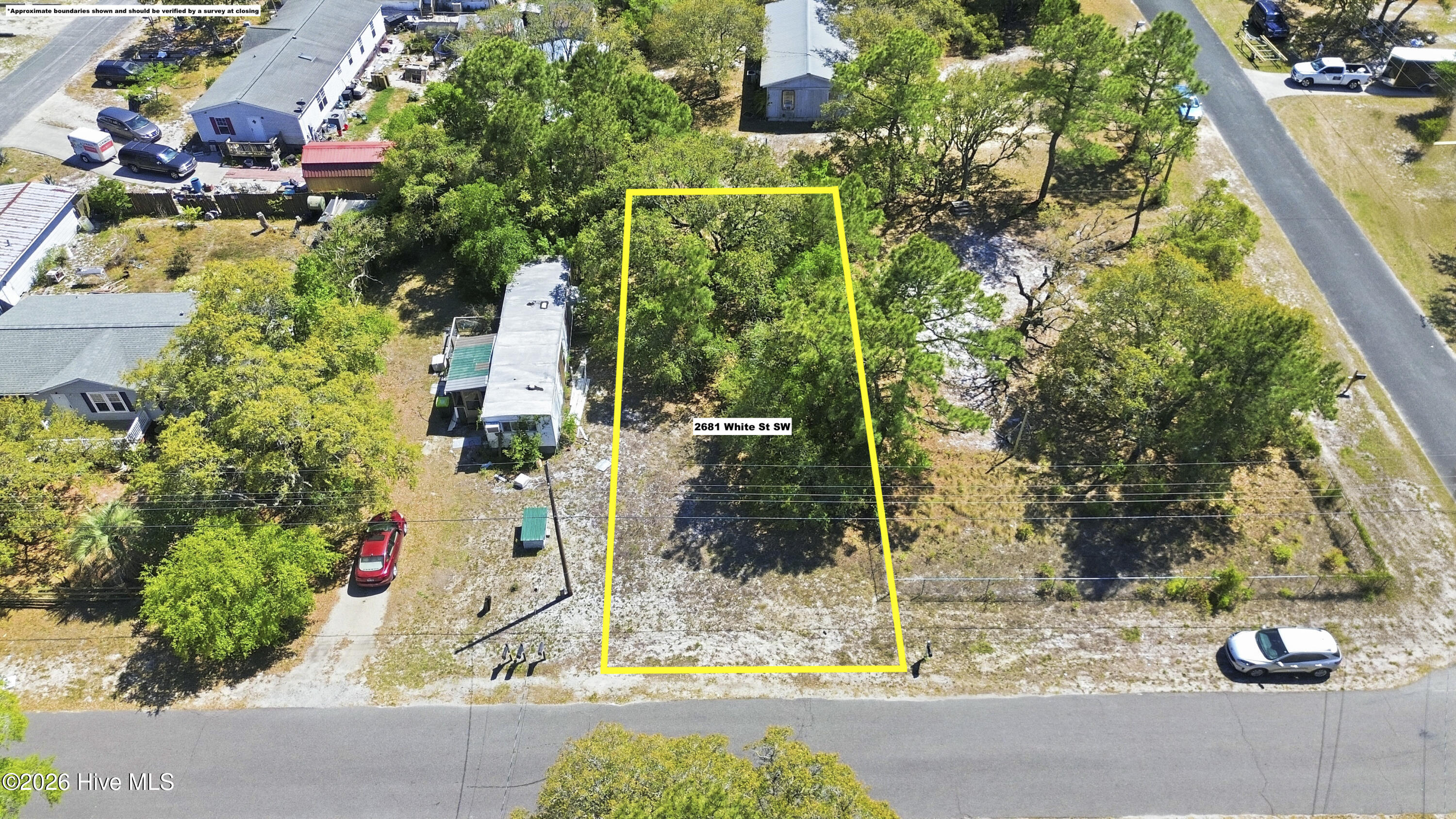 100569346 | Photo 12