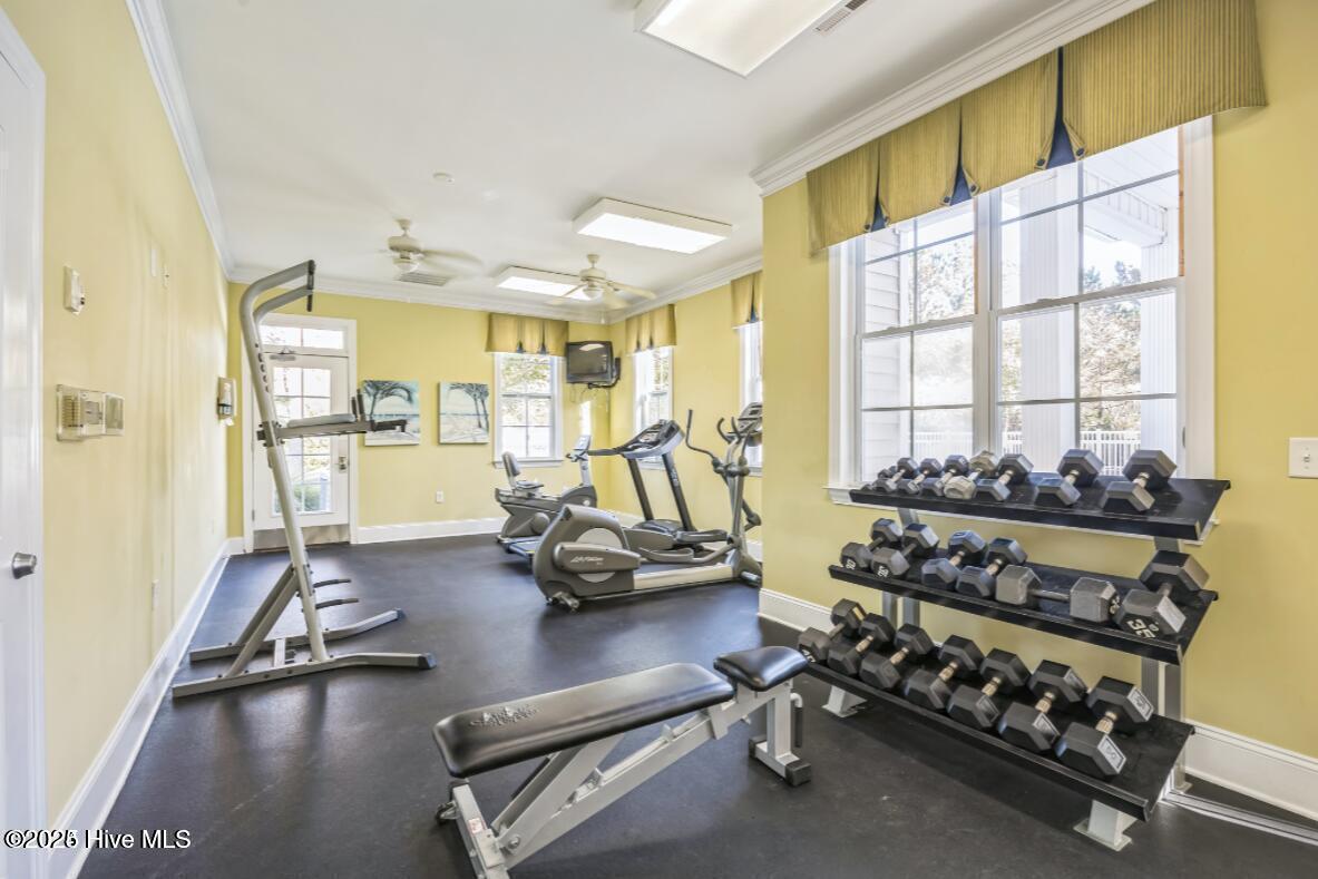 100542500 | Photo 25