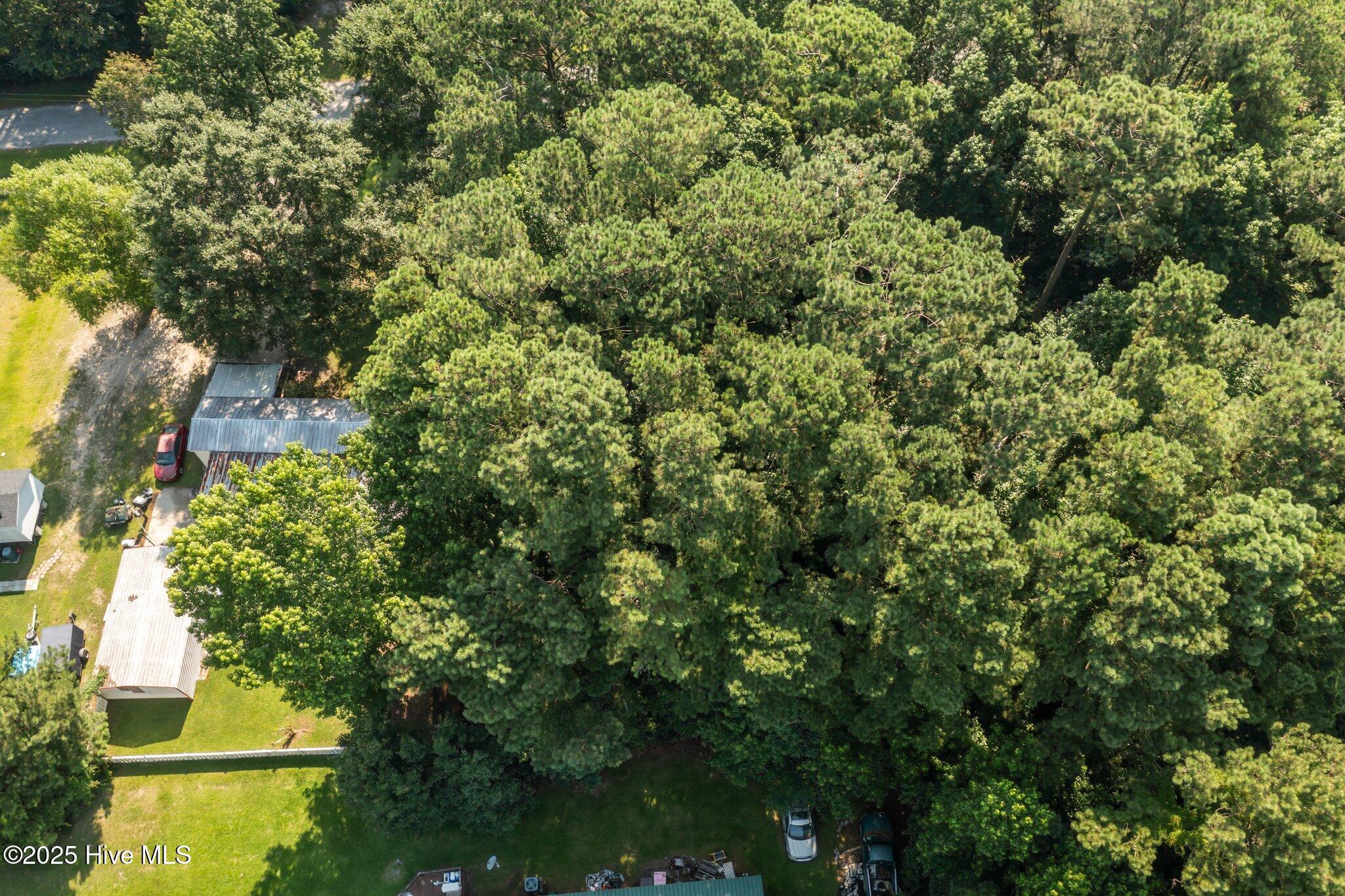 107 Seahorse Drive,Beaufort