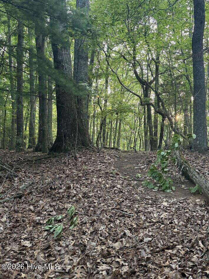 Exterior photo of Tbd Lot 43 Pine Cove Lane, Murphy, NC 28906. MLS: 100591281