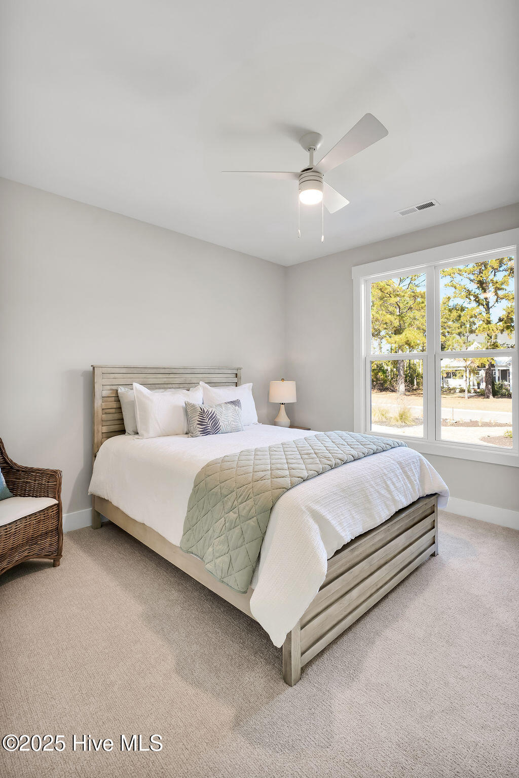 100529674 | Photo 67