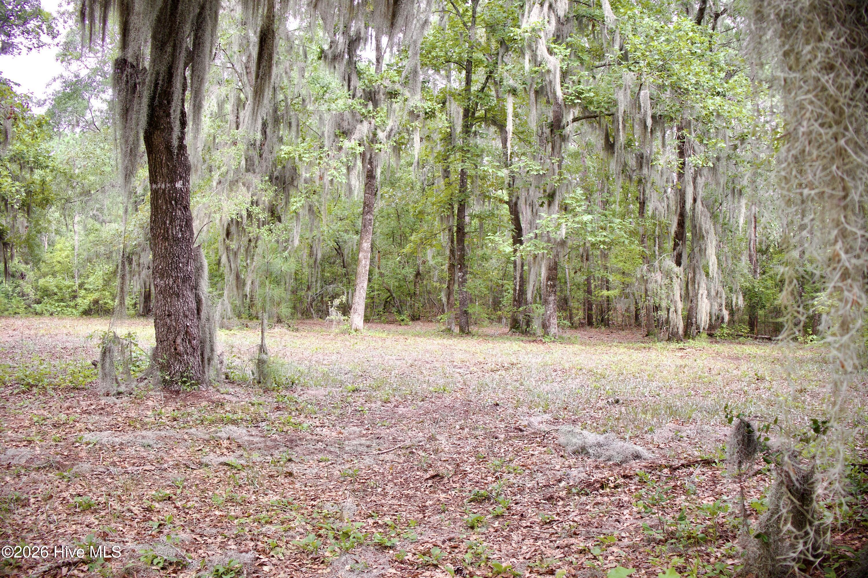 385 Sand Ridge Road,New Bern