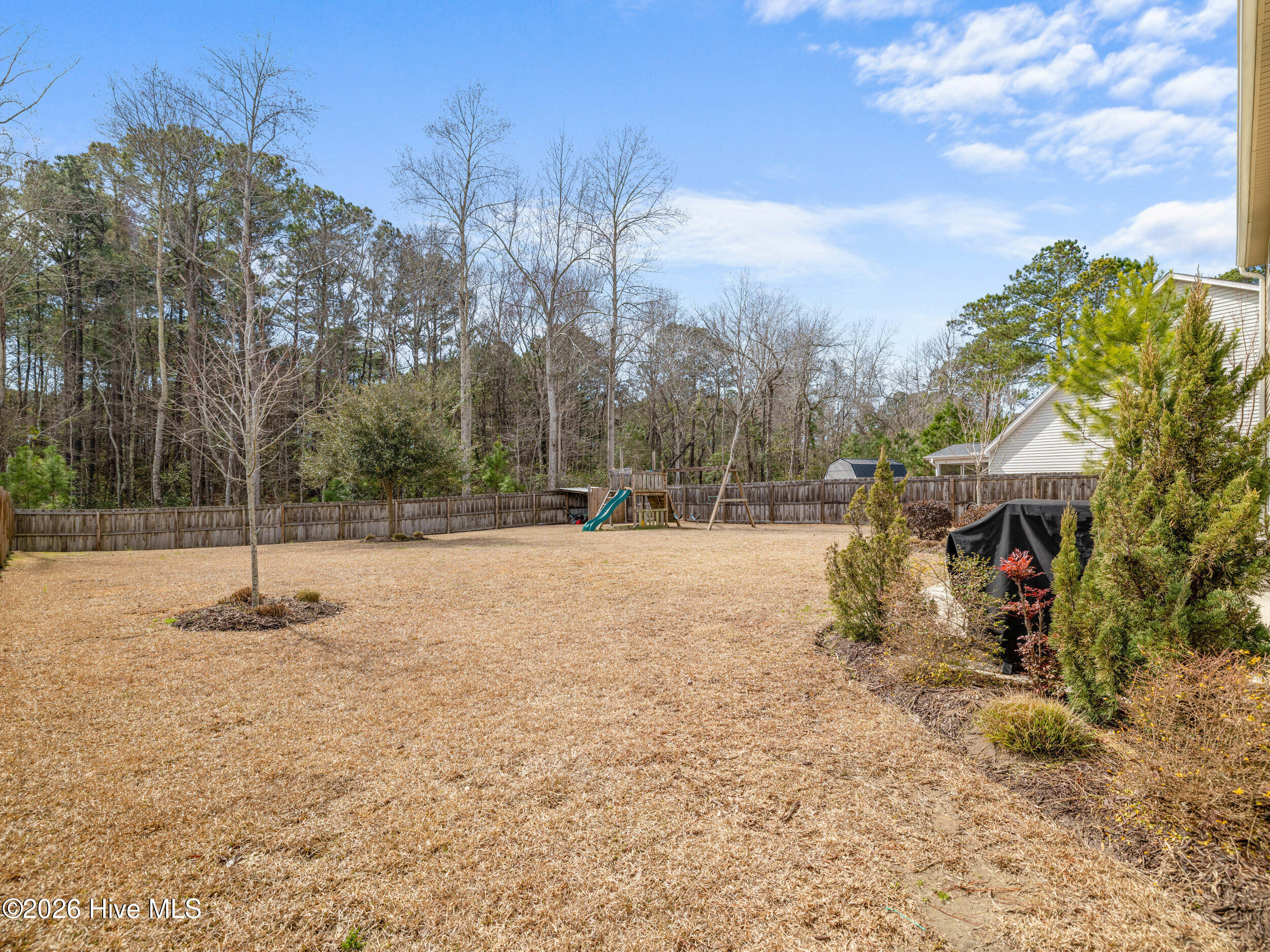 100557695 | Photo 71