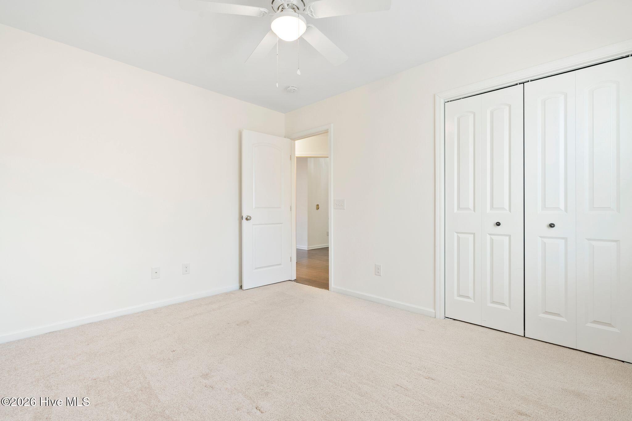 100554578 | Photo 24