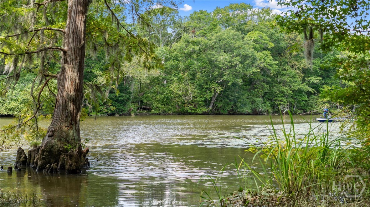 24th image of 85 Planters Ct, Hardeeville, SC 29927 | MLS# SA356054
