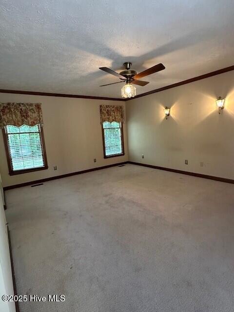 100505864 | Photo 38