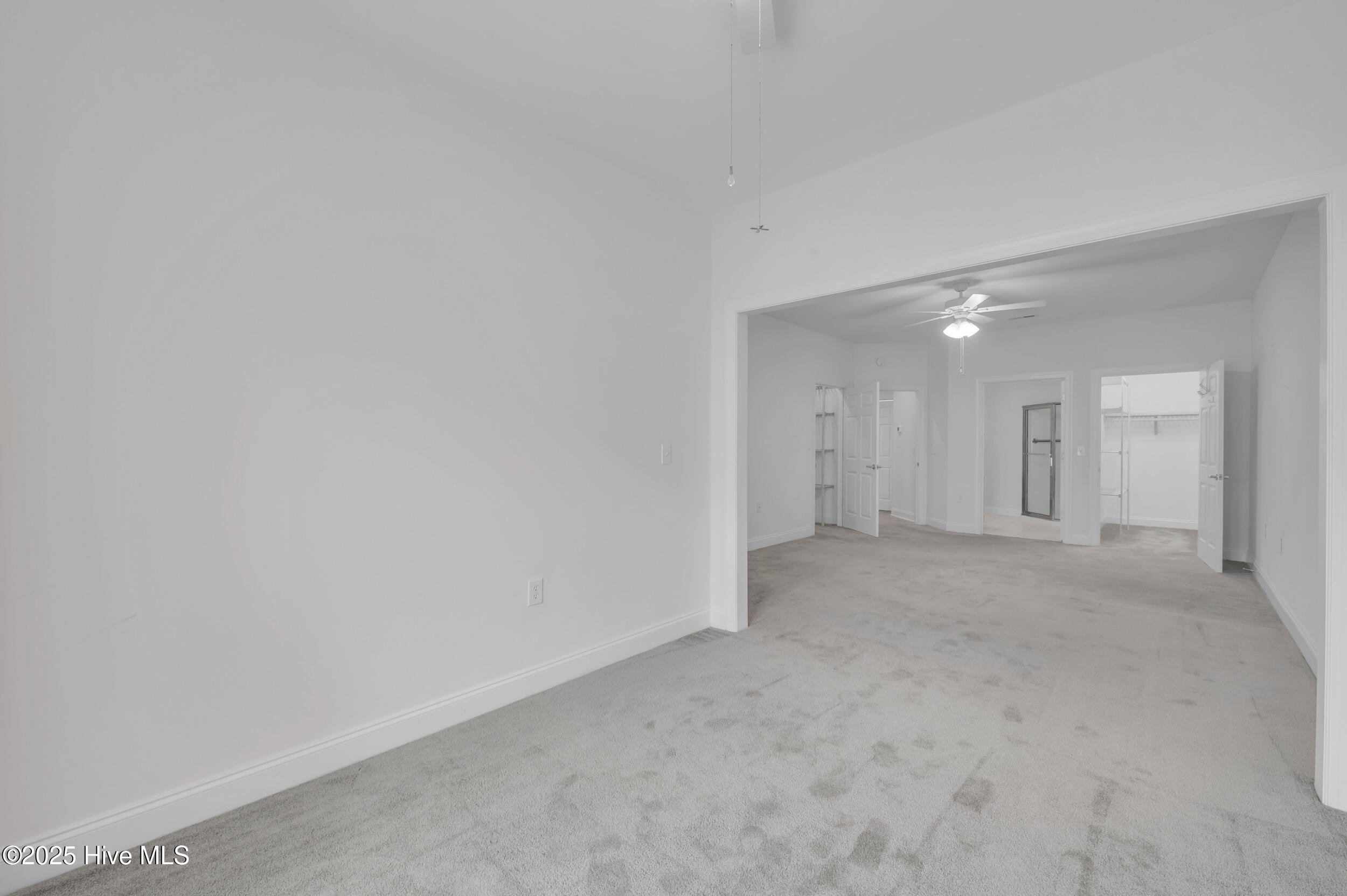 100564628 | Photo 19