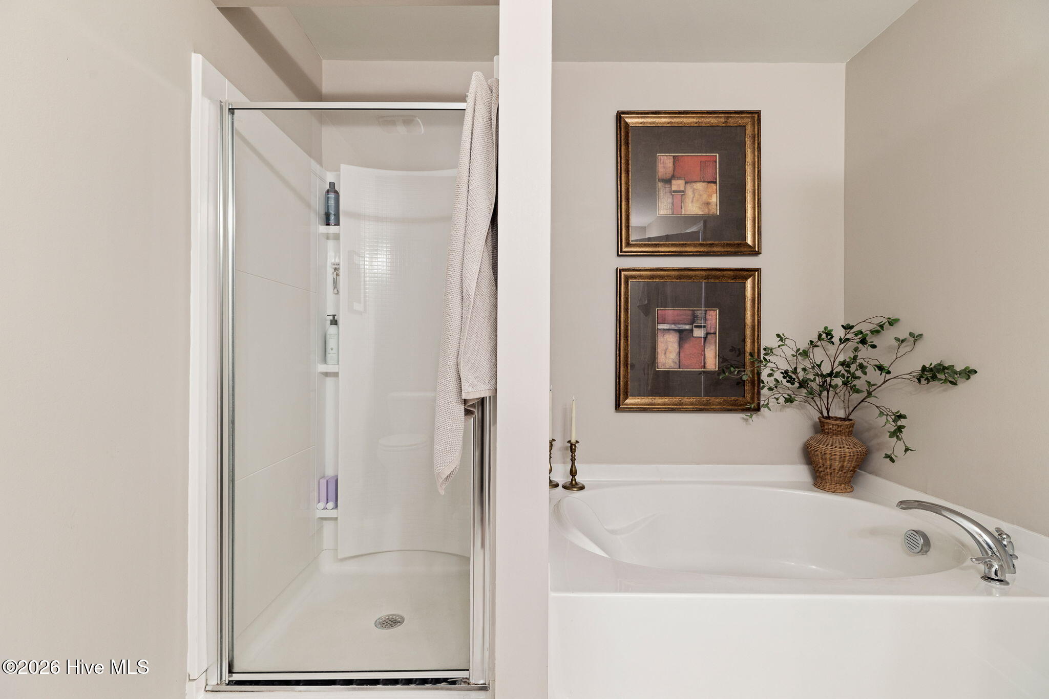 100556686 | Photo 24