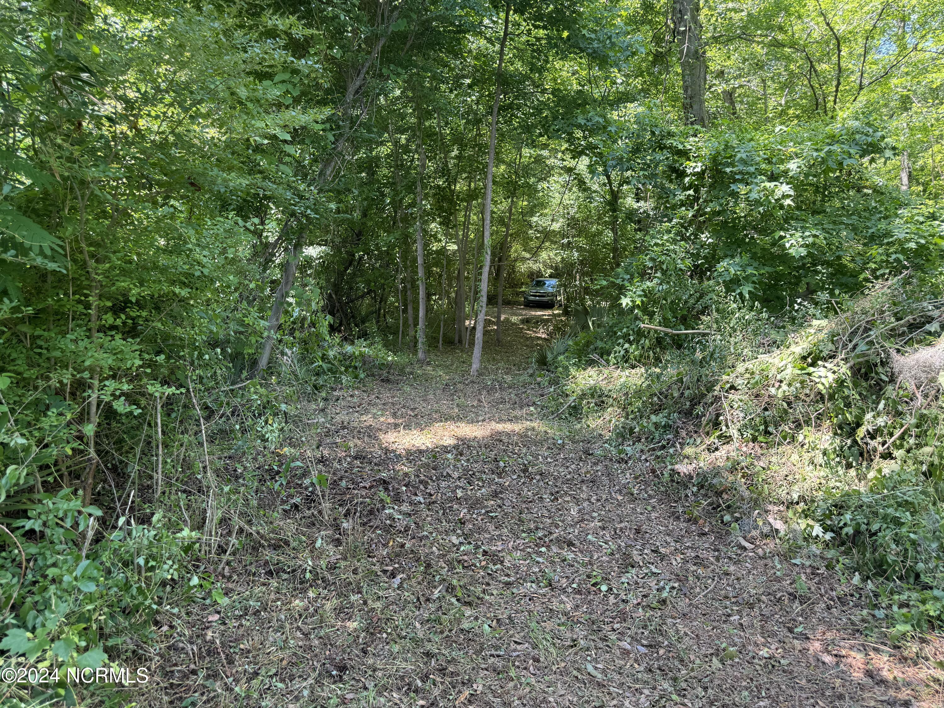 100524408 | Photo 41