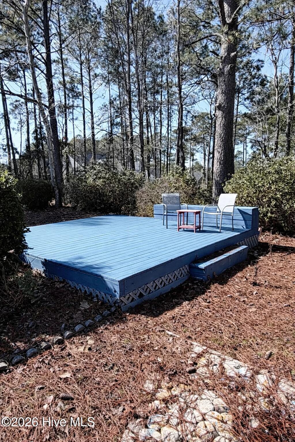 100557322 | Photo 21