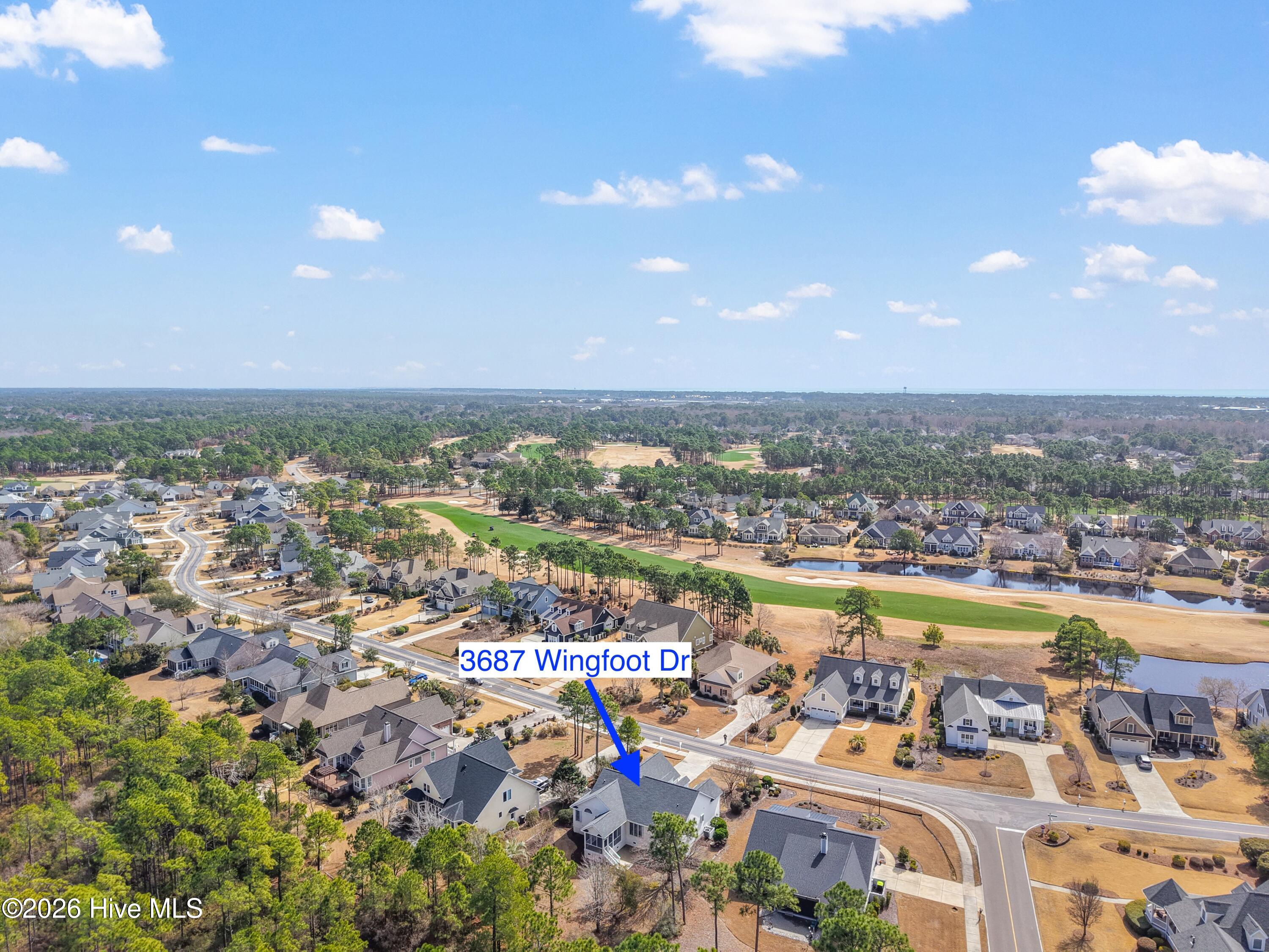 100561383 | Photo 50