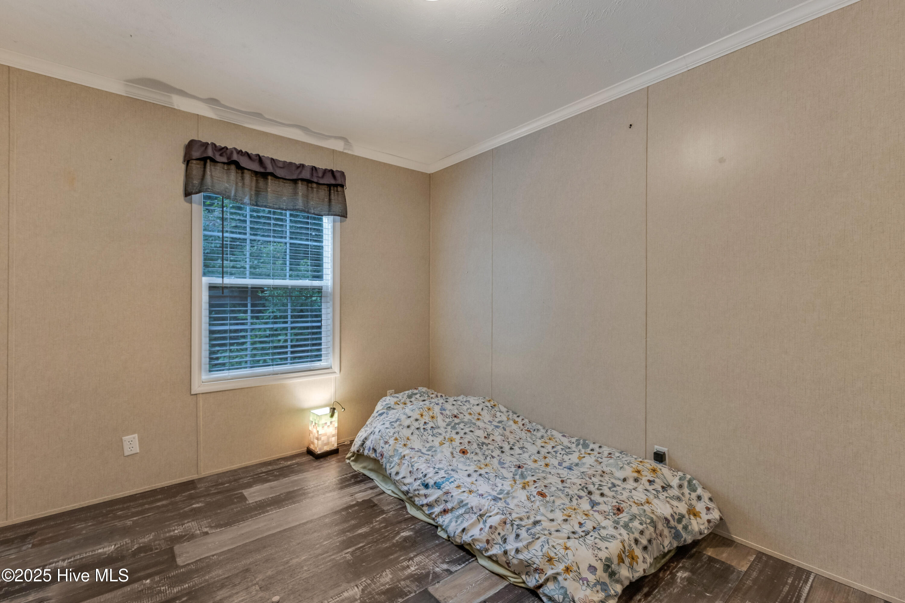 100517619 | Photo 98