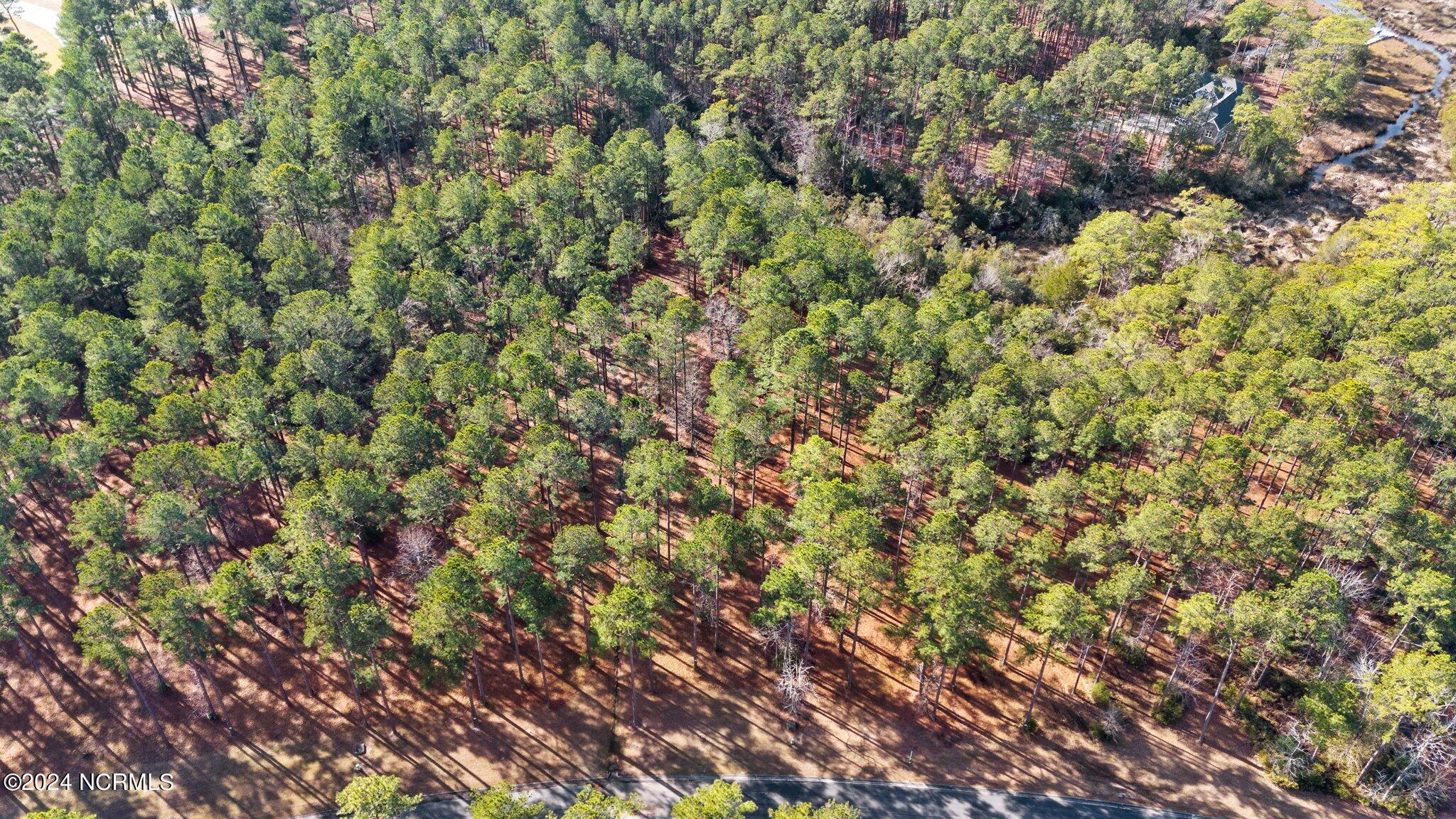 137 Lot 31 Ocracoke Drive,Oriental