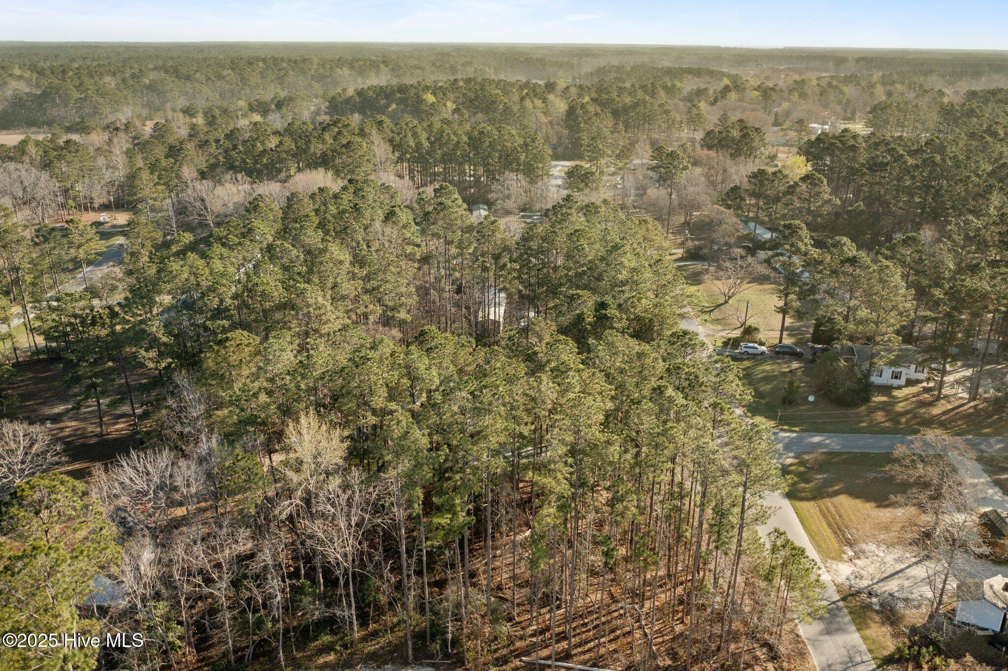 100497609 | Photo 10