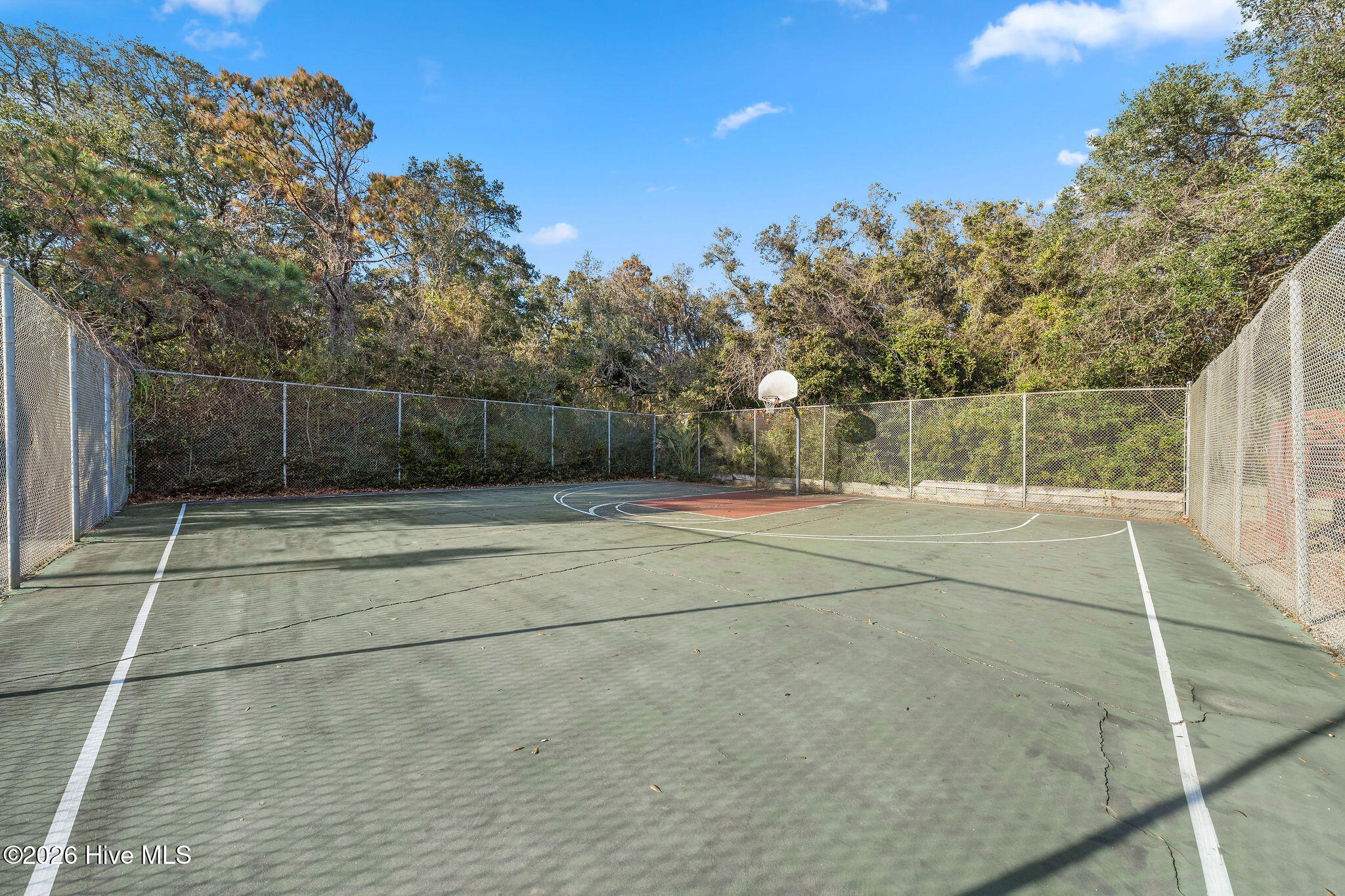 100559575 | Photo 68