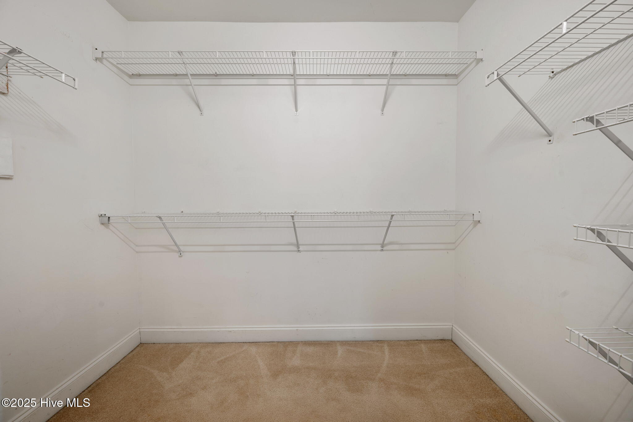 100525052 | Photo 21