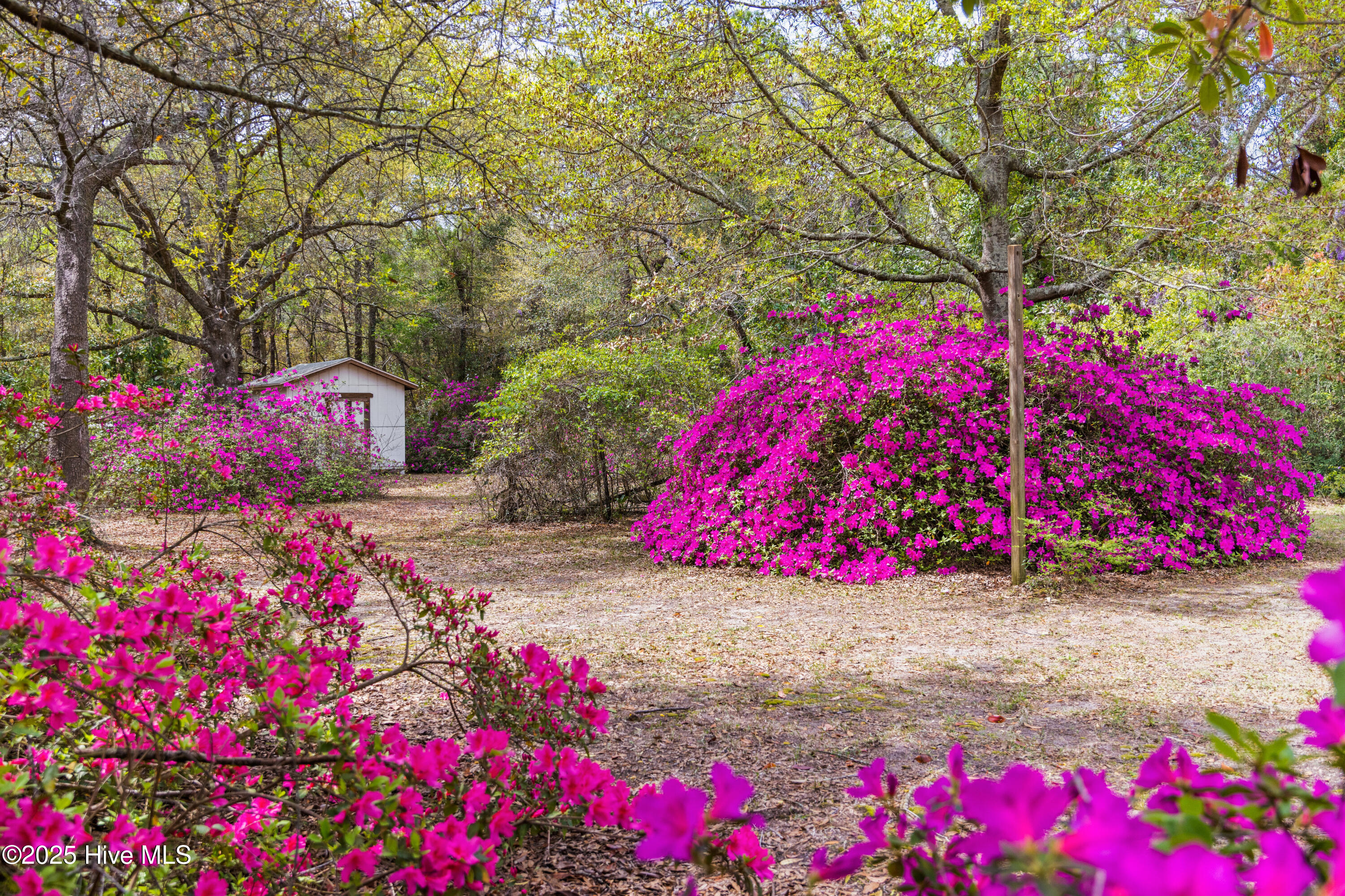 100548409 | Photo 40