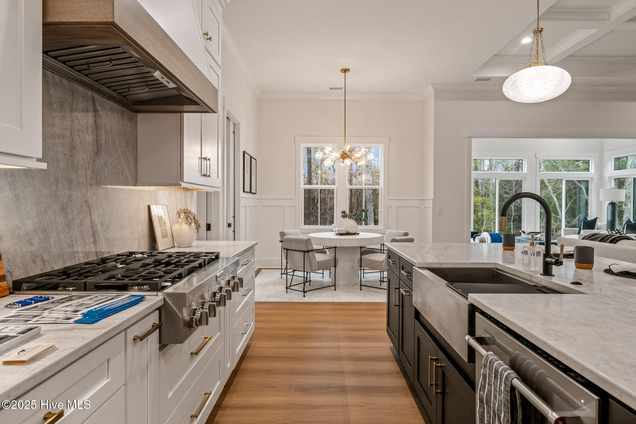 100533219 | Photo 16