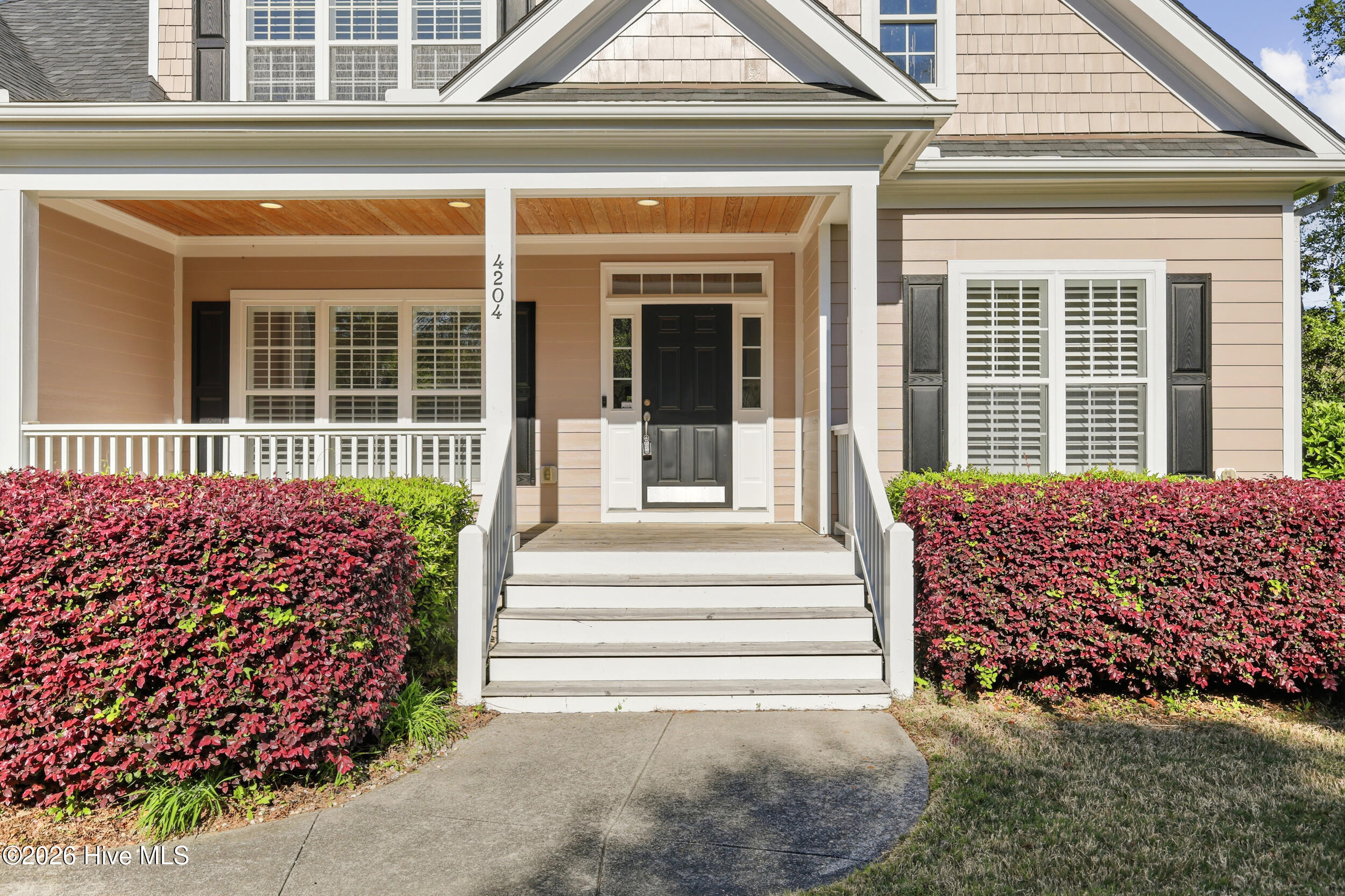 100567096 | Photo 16