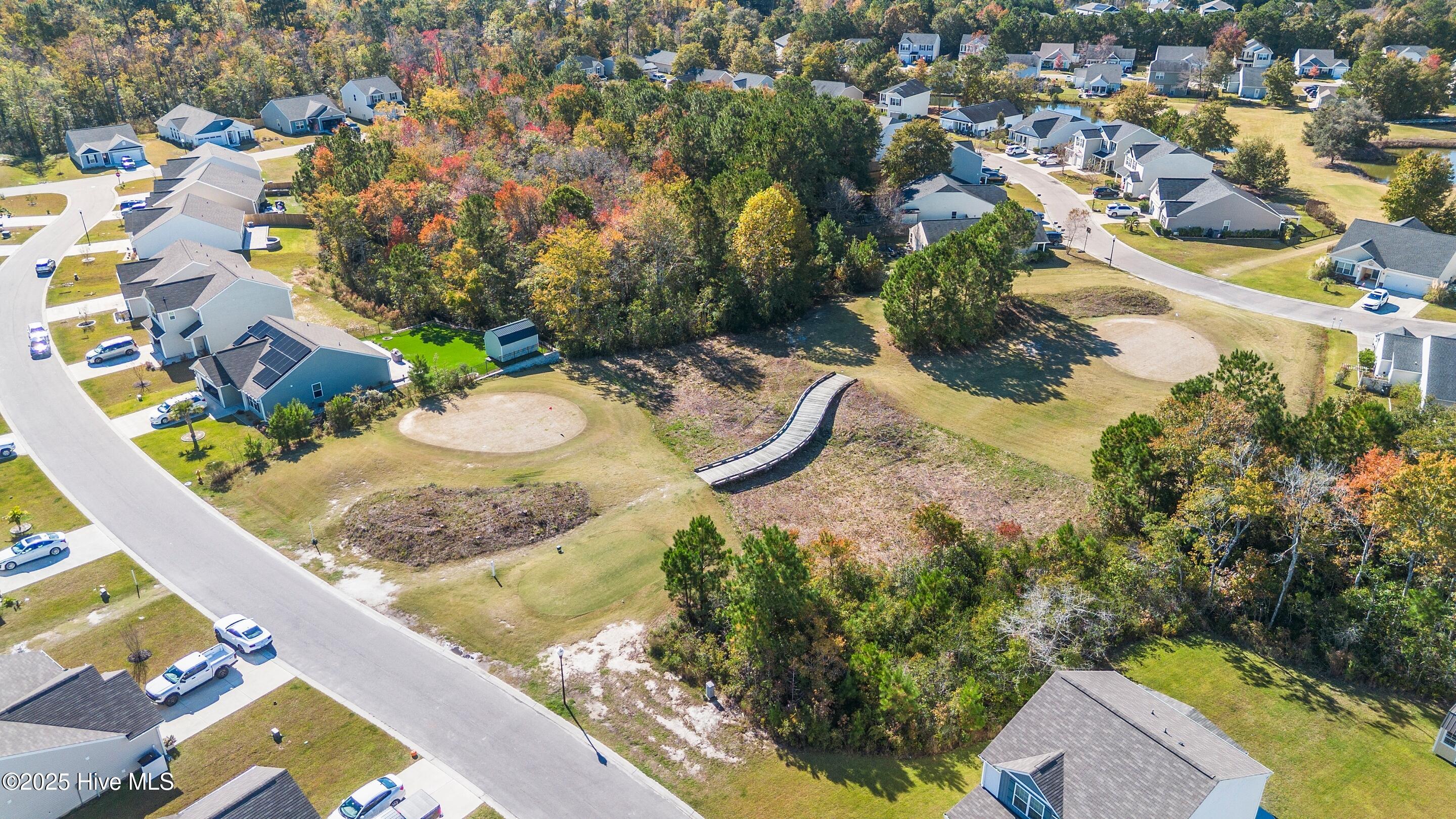 100539921 | Photo 31