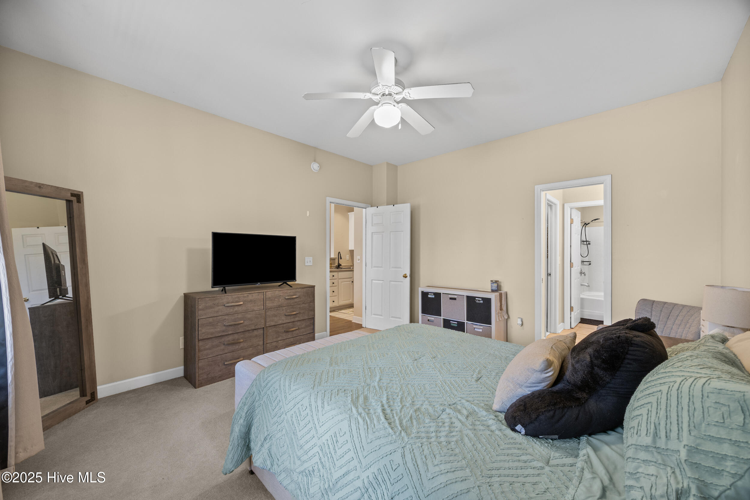 100535393 | Photo 33