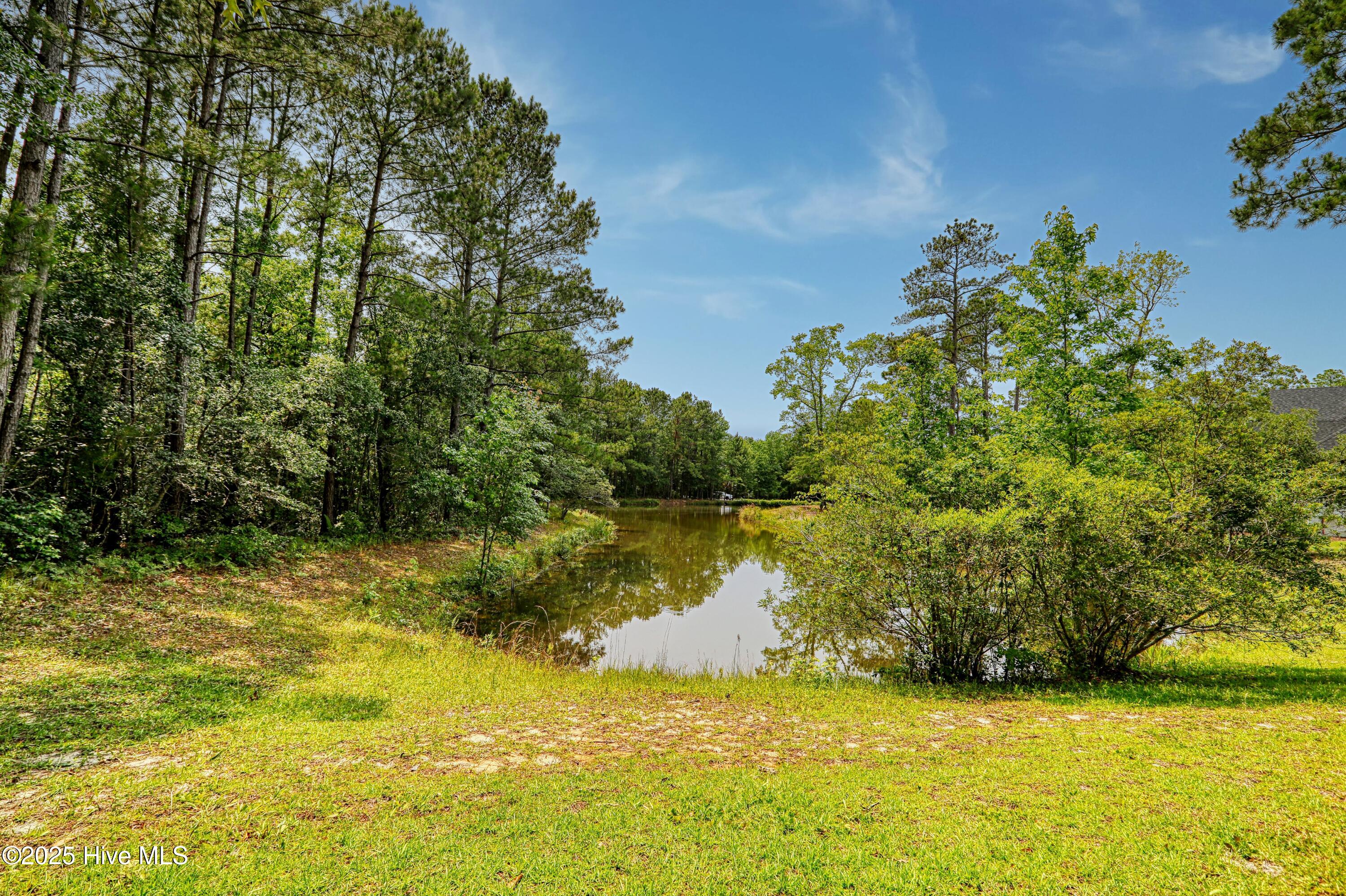 100511147 | Photo 31