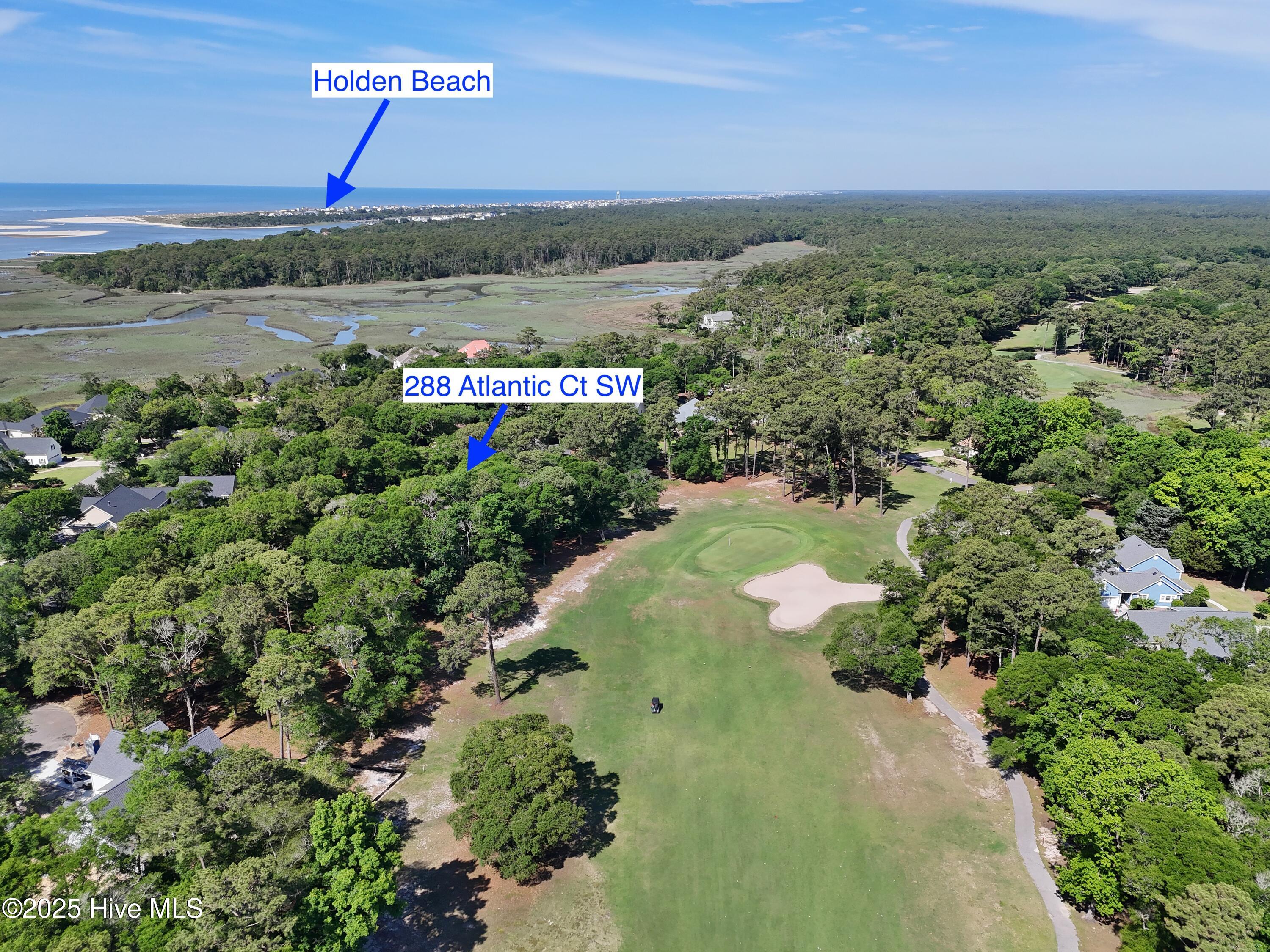 100509392 | Photo 51