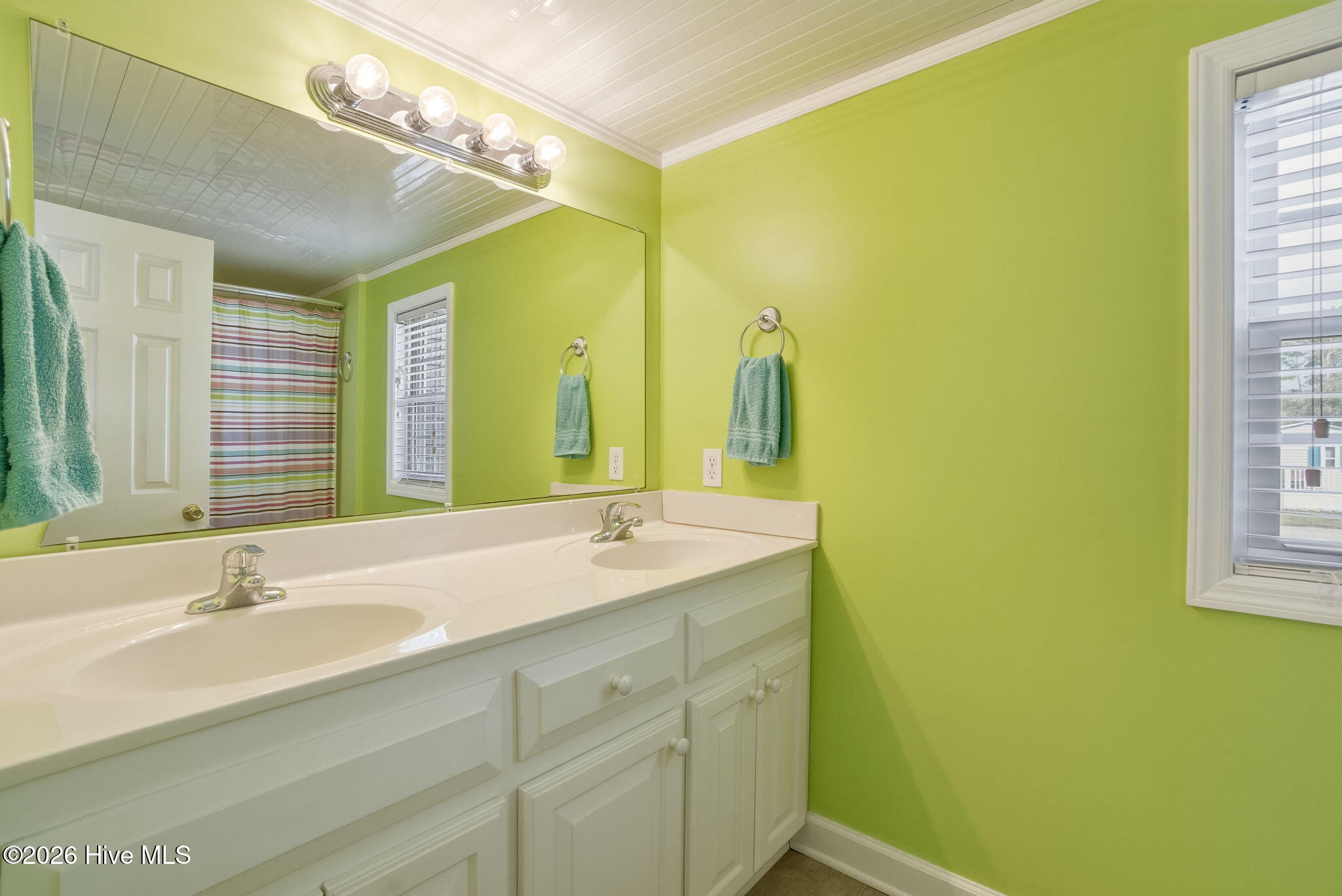 201 Snow Goose Lane,Newport