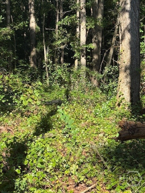 0 Rita, Jefferson, Georgia, 0 ,Agriculture,For sale,Rita,CL339752 0 Rita, Jefferson, Georgia, 0 ,Agriculture,For sale,Rita,CL339752