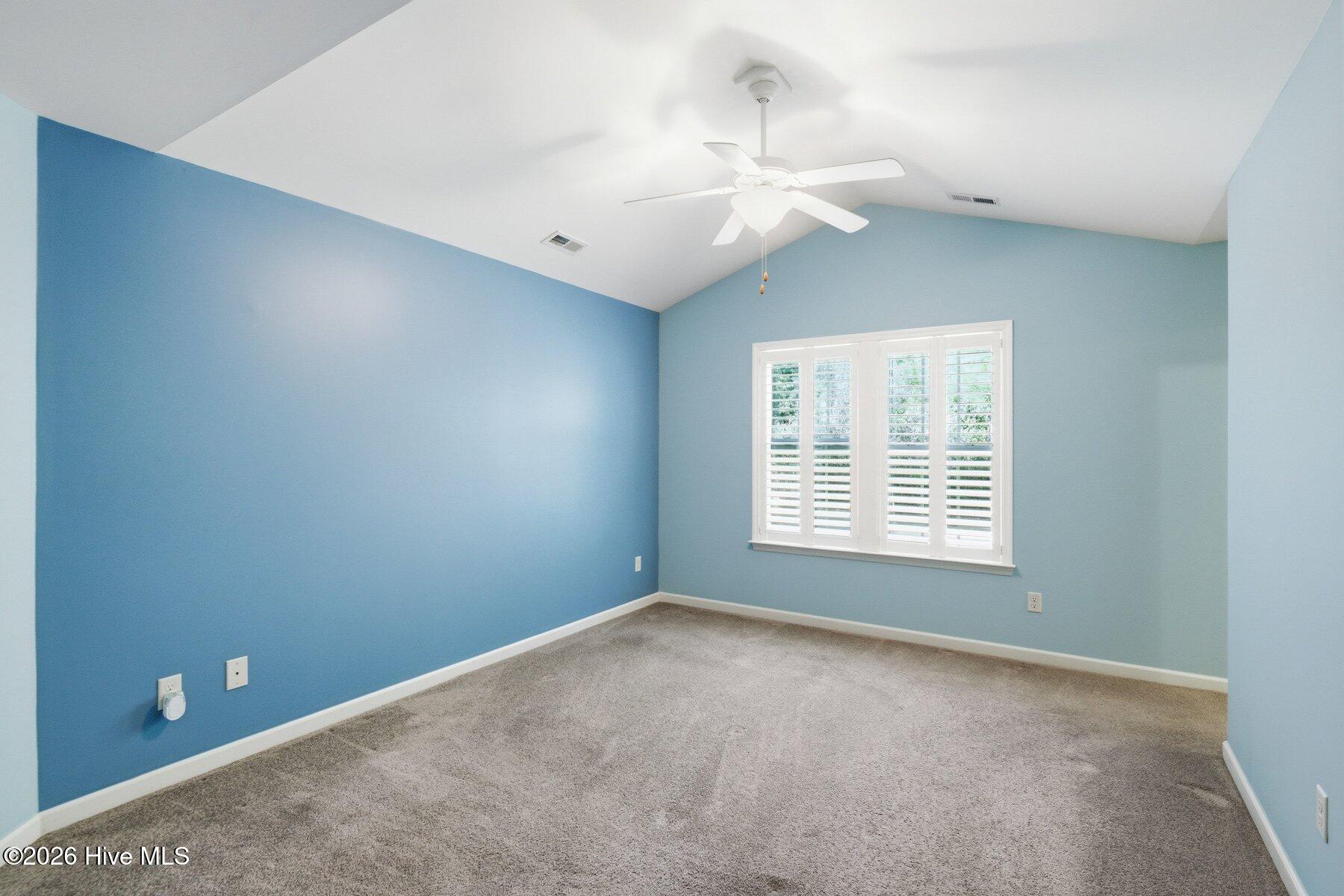 100563197 | Photo 14