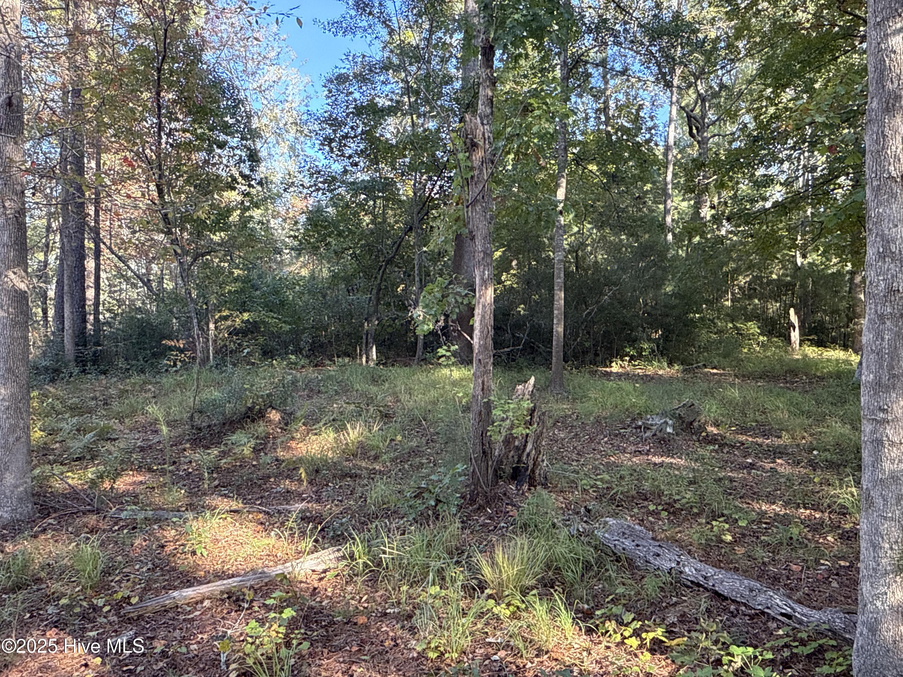 338 61 w/ Boat Slip #3 Southern Way,Arapahoe