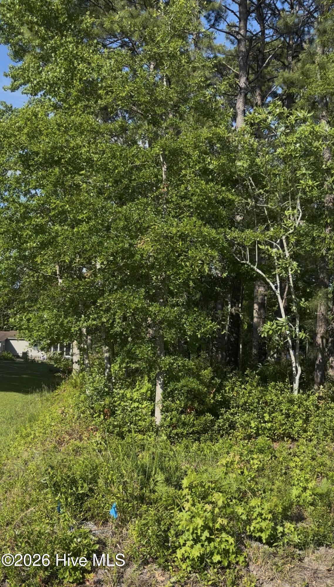 Homes for sale in Carolina Shores, NC | 57 Pinewood Dr, Carolina Shores, NC 28467 | MLS# 100551066