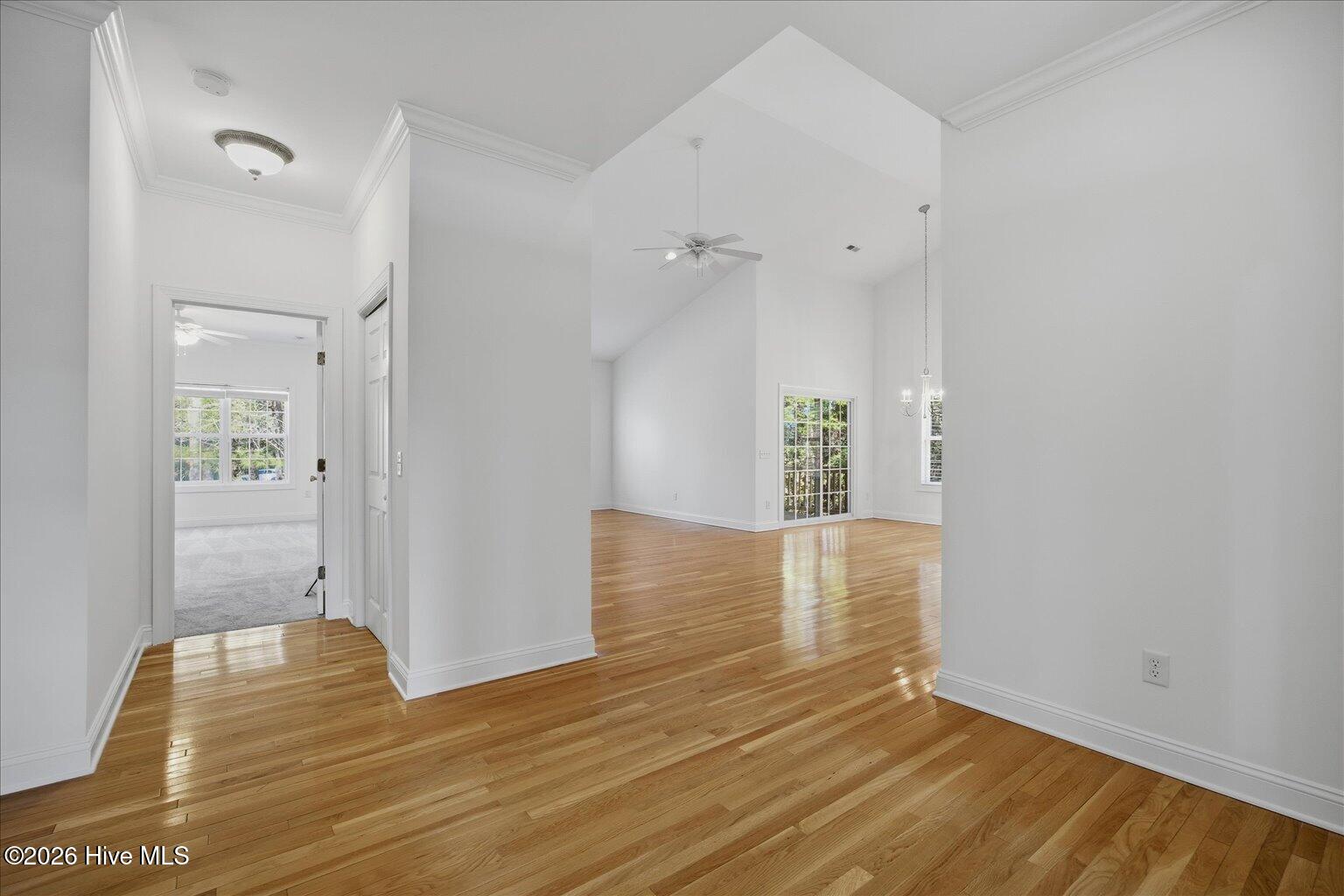 100564085 | Photo 12