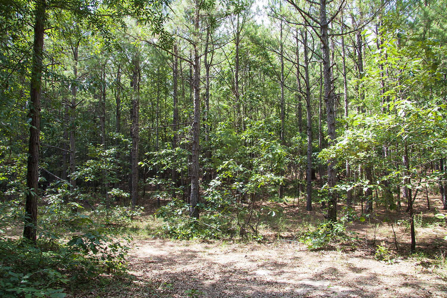 1515D HEPHZIBAH - MCBEAN Road, Hephzibah, GA, 30815