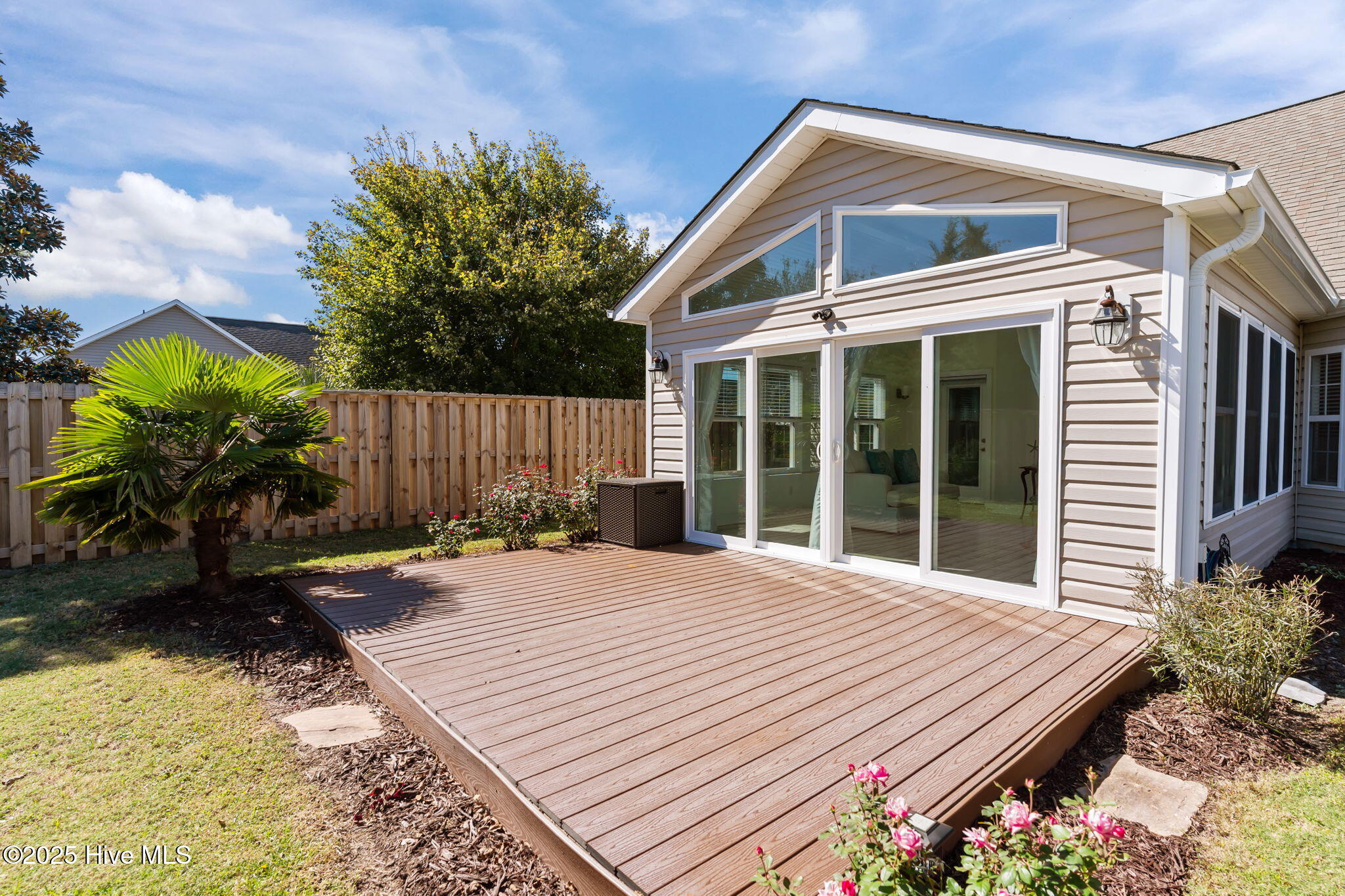 100537939 | Photo 22