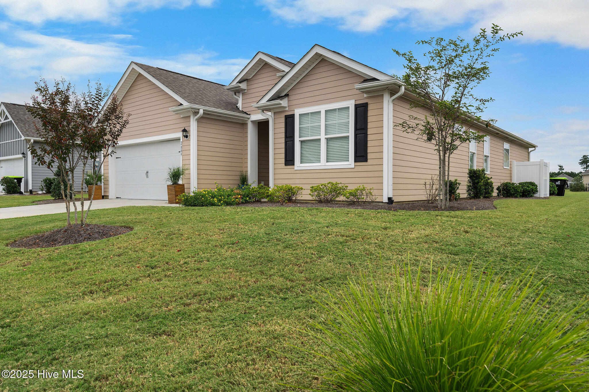 100518034 | Photo 45